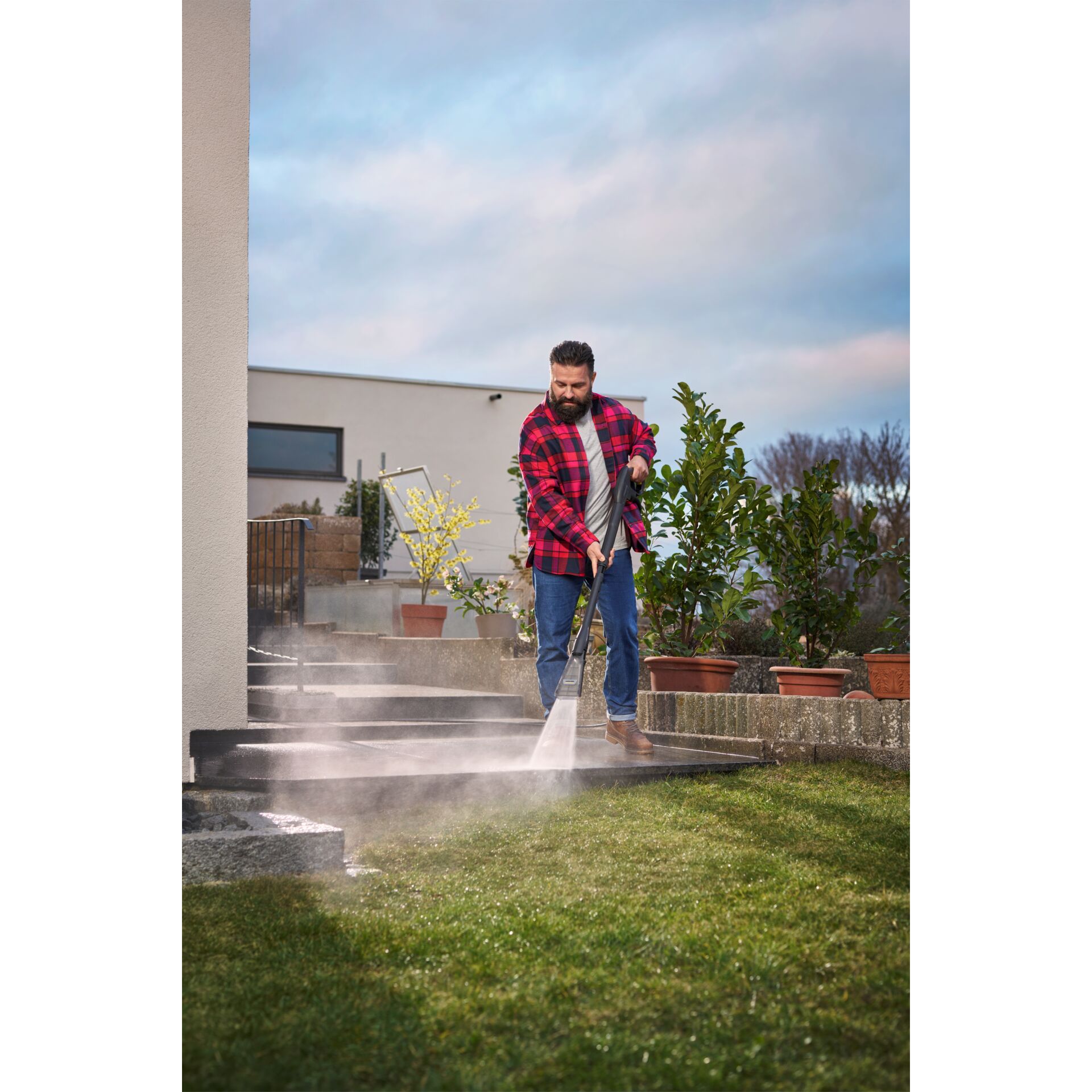 Hosen, Gras, Topfpflanze, Jeanshose, Portrait