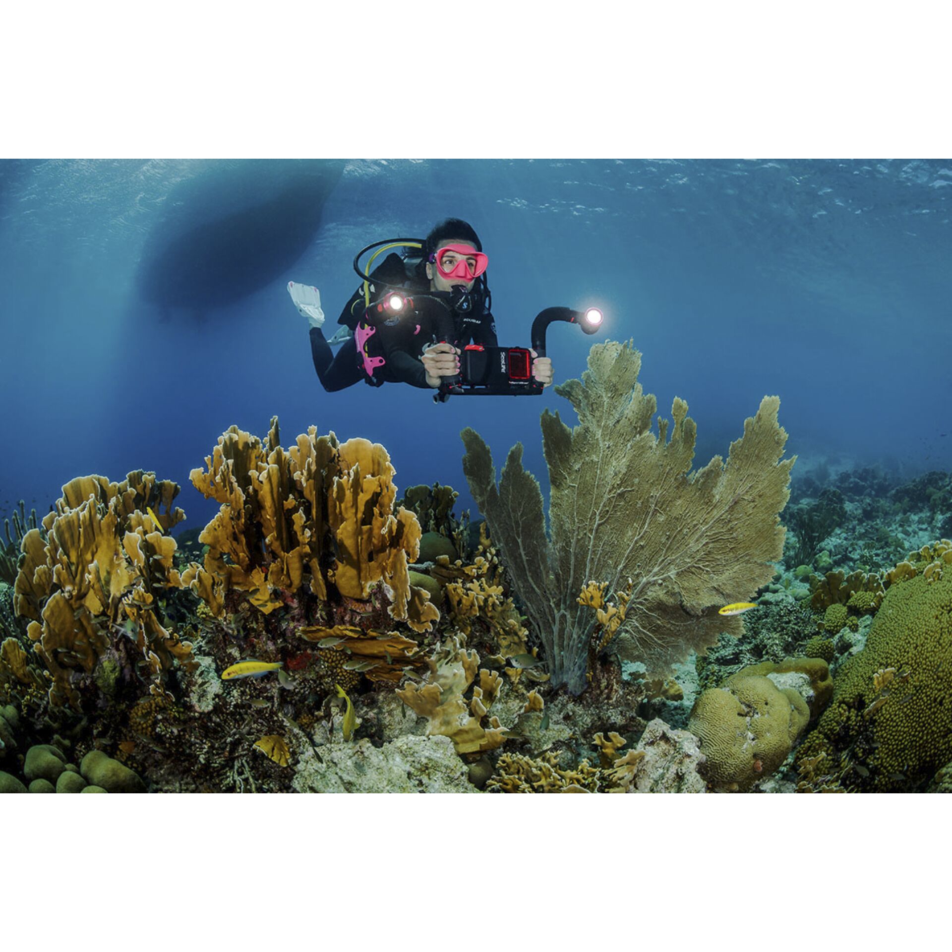 Natur, Draußen, Wasser, Riff, Meer