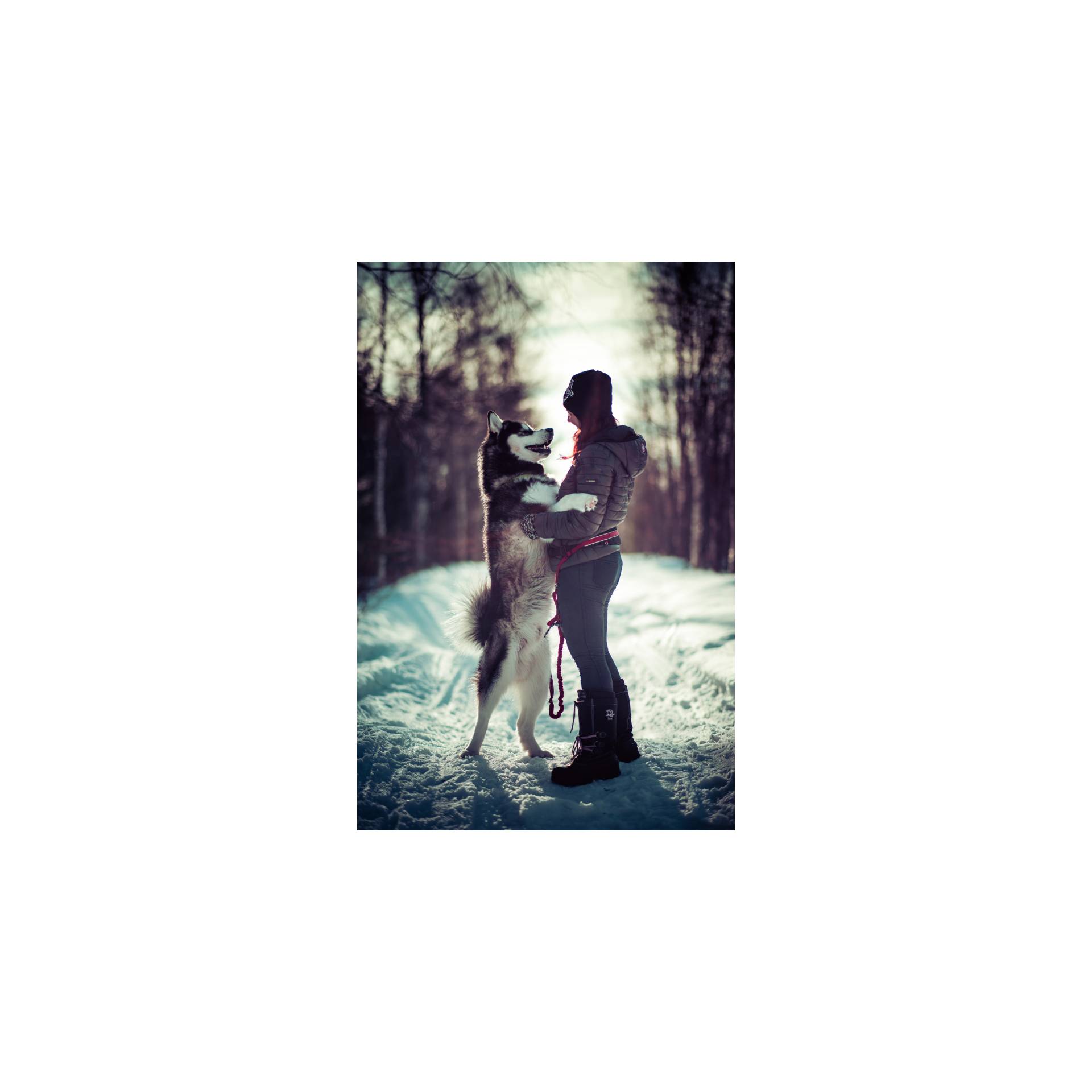 Photographie, Portrait, Vegetation, Gehen, Wald