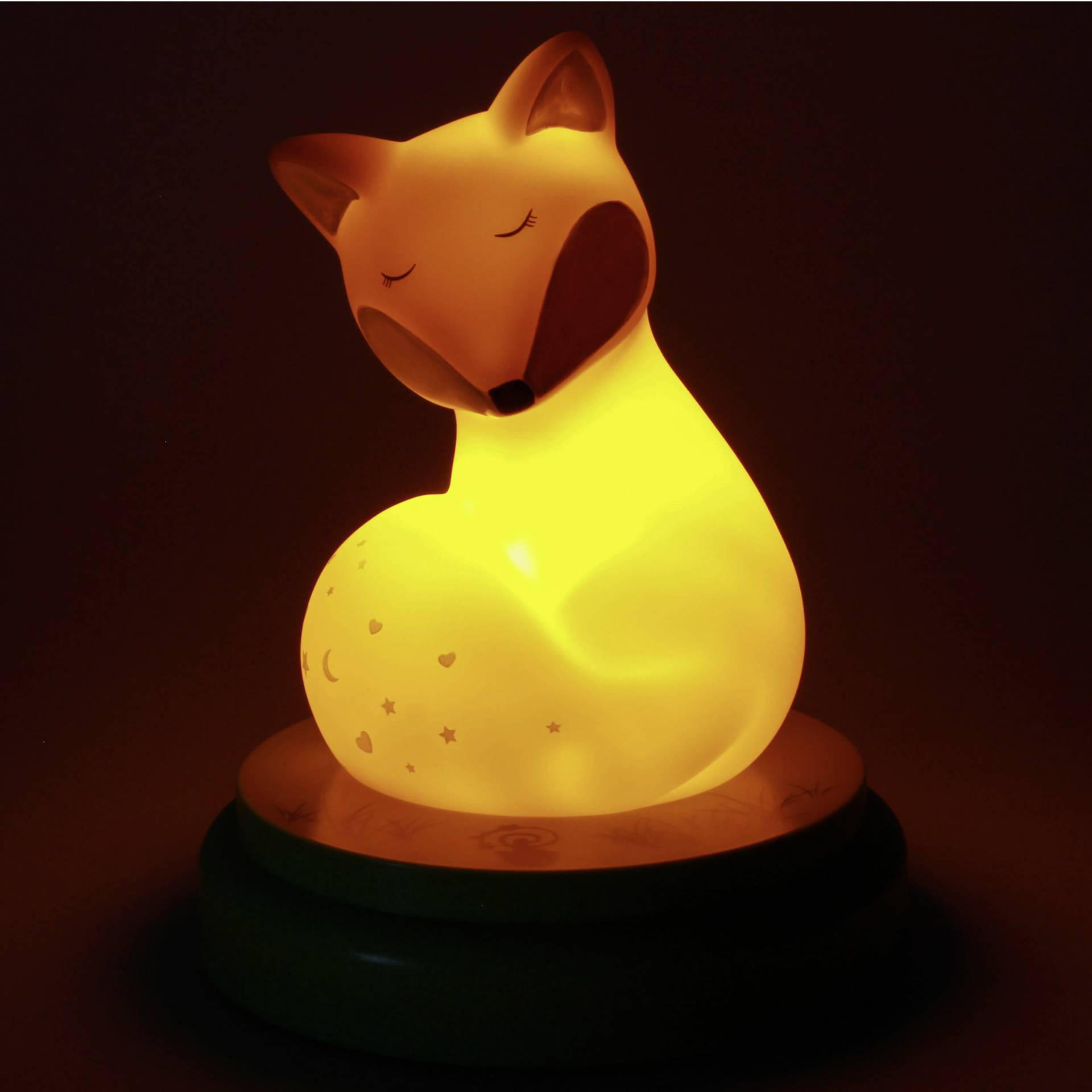 Tier, Katze, Säugetier, Haustier, Lampe