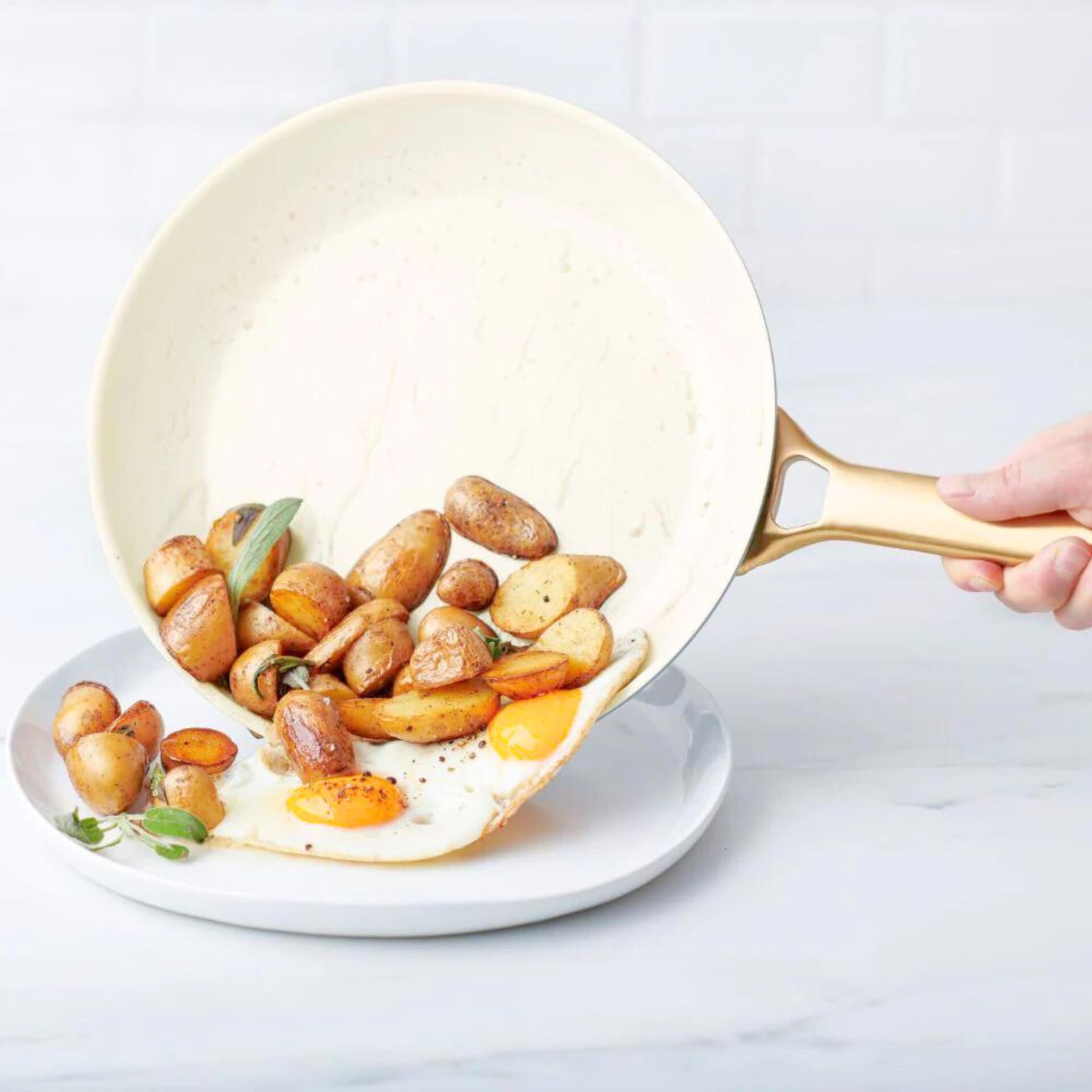 Kochtopf, Kochgeschirr, Teller