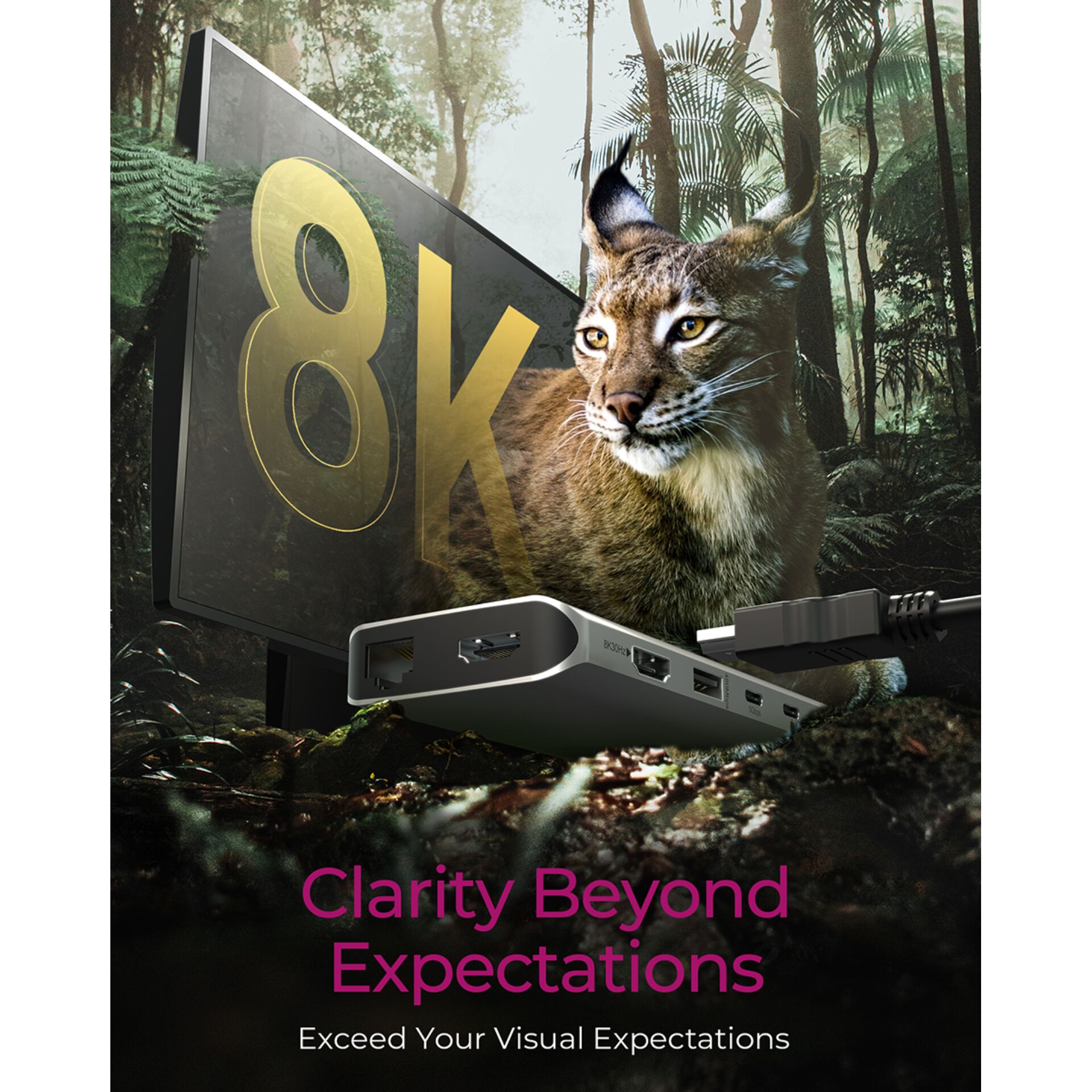 Werbung, Pflanze, Vegetation, Plakat