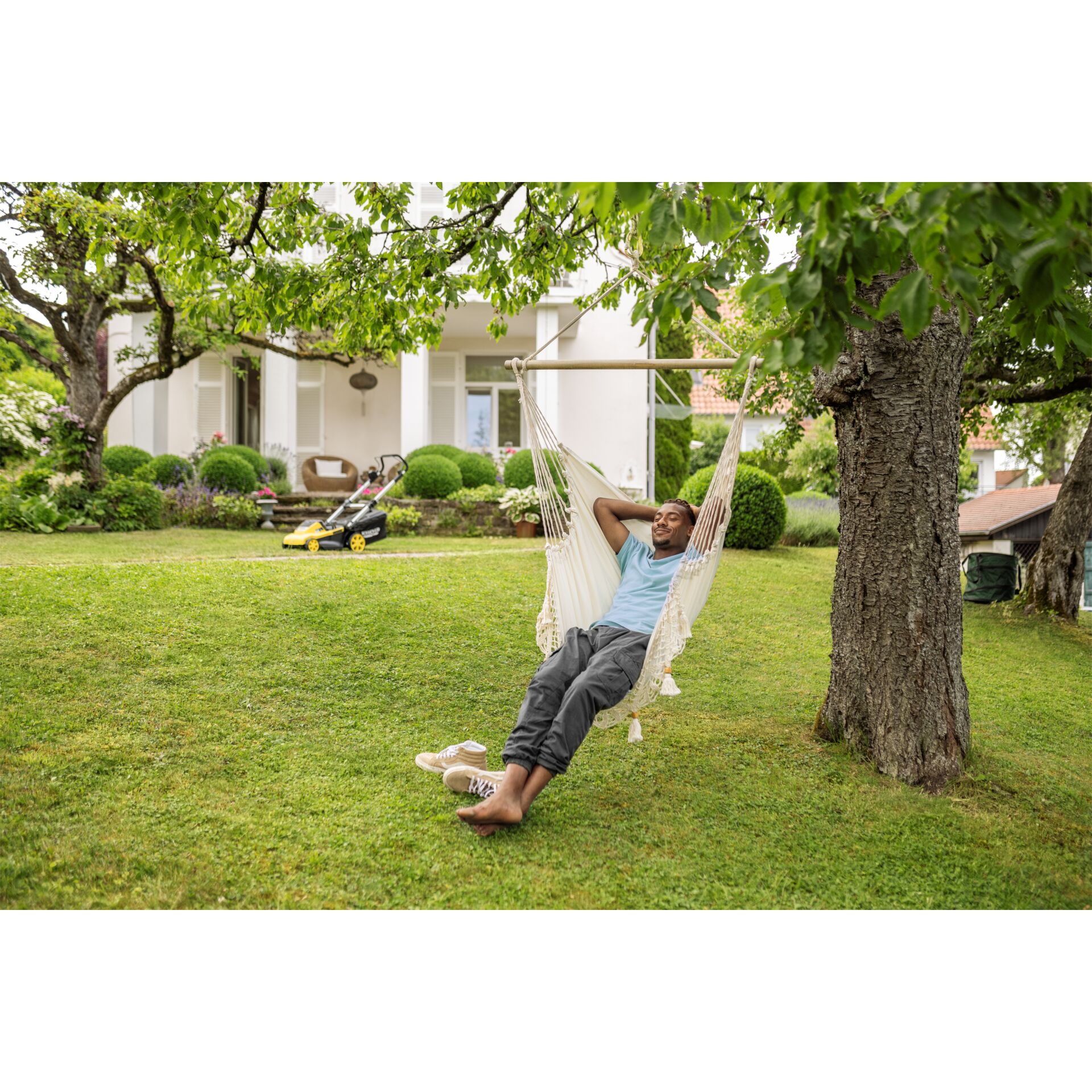 Gras, Rasen, Sitzend, Hinterhof, Baum