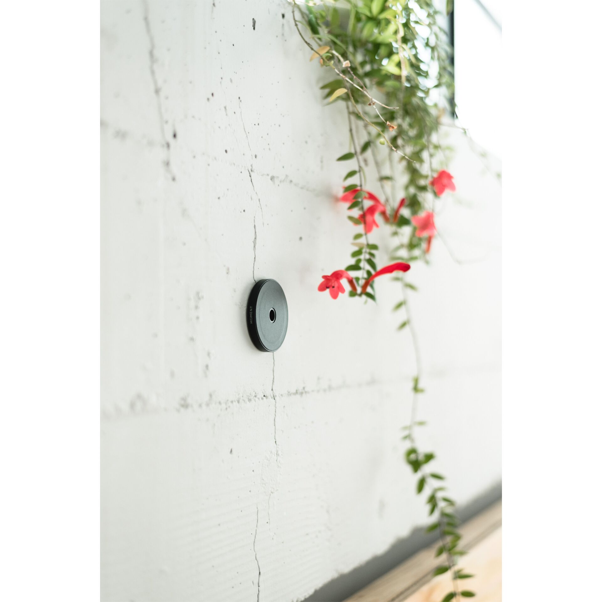 Drinnen, Innenarchitektur, Architektur, Gebäude, Mauer