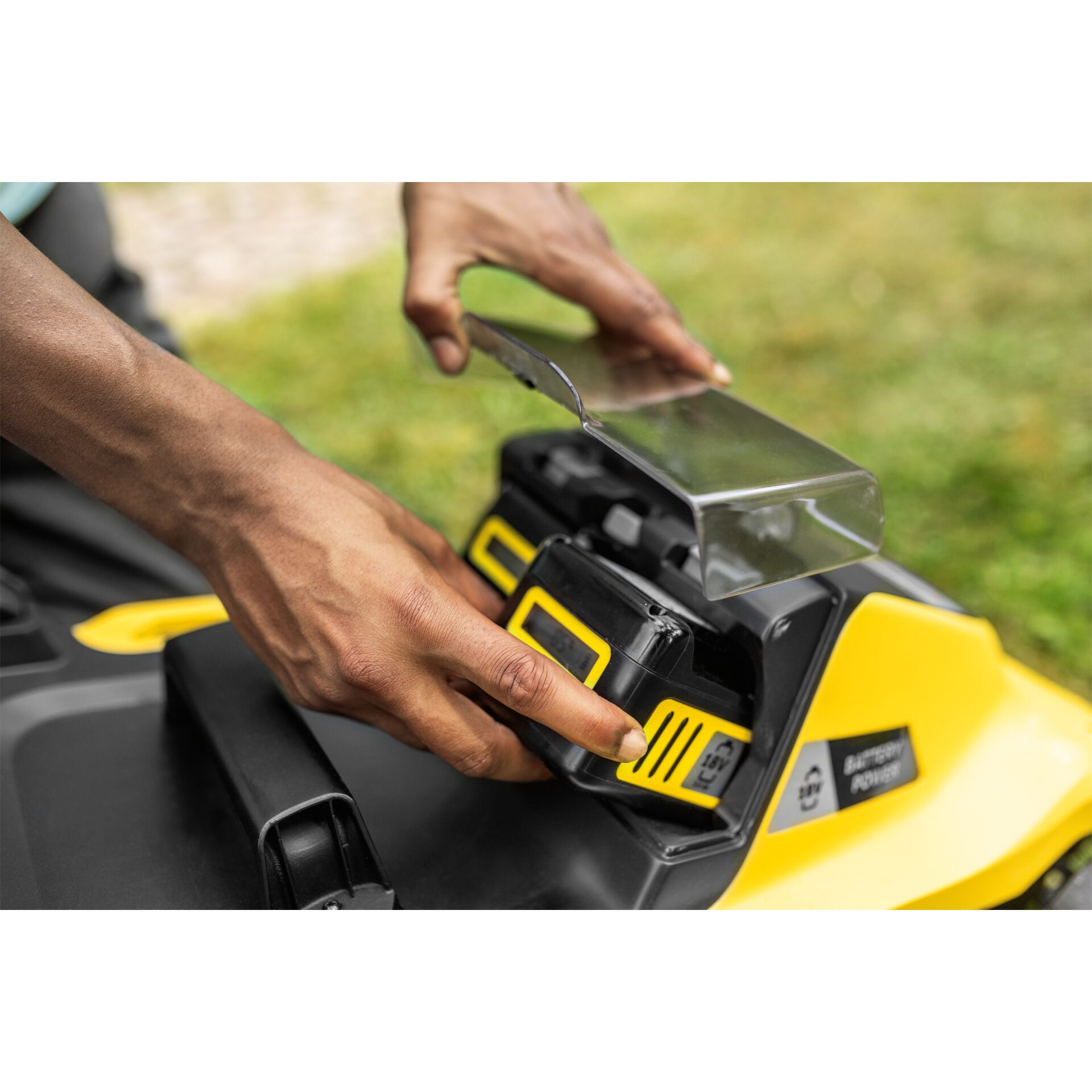 Gras, Rasen, Pflanze, Gerät