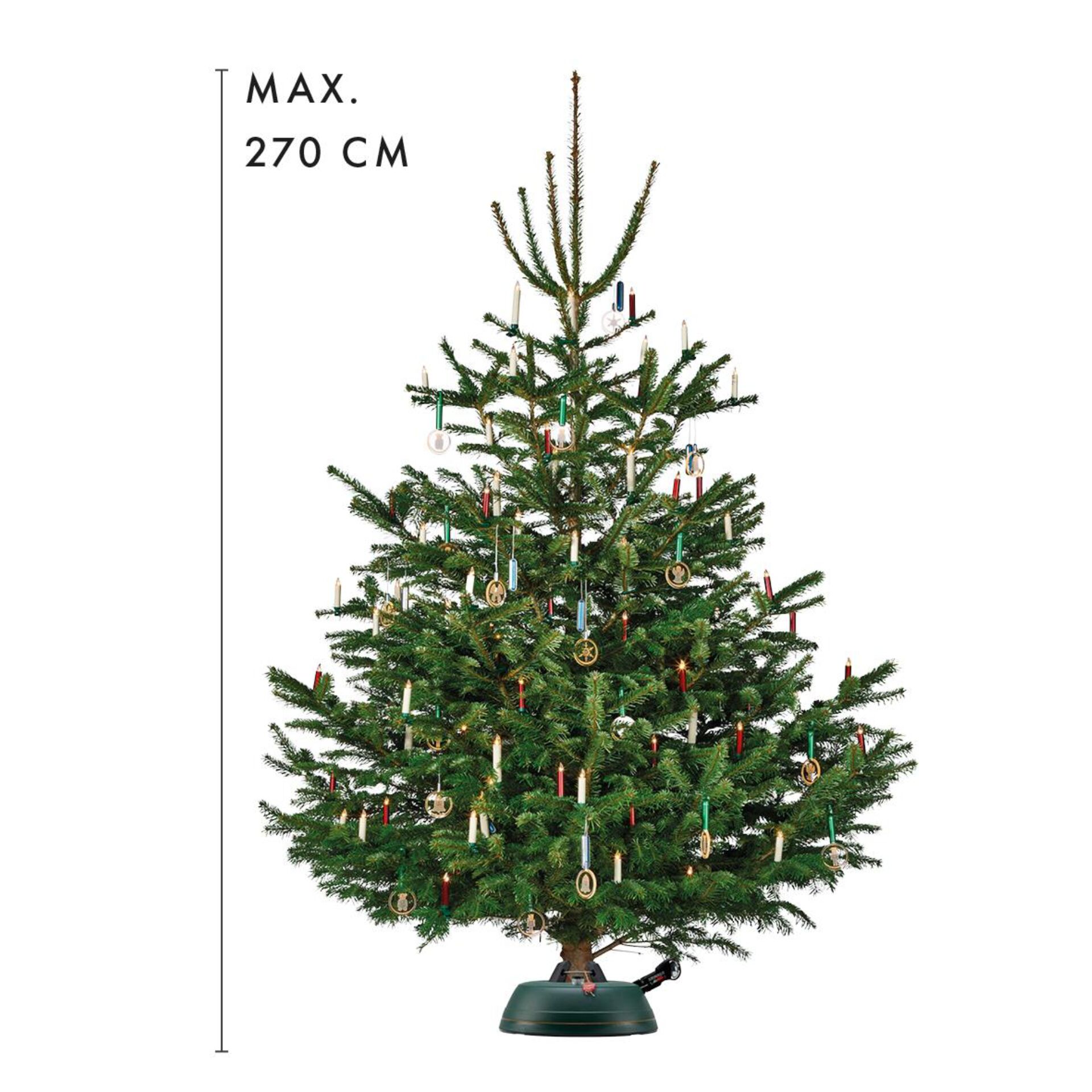 Pflanze, Baum, Kiefer, Weihnachtsdekorationen, Festival