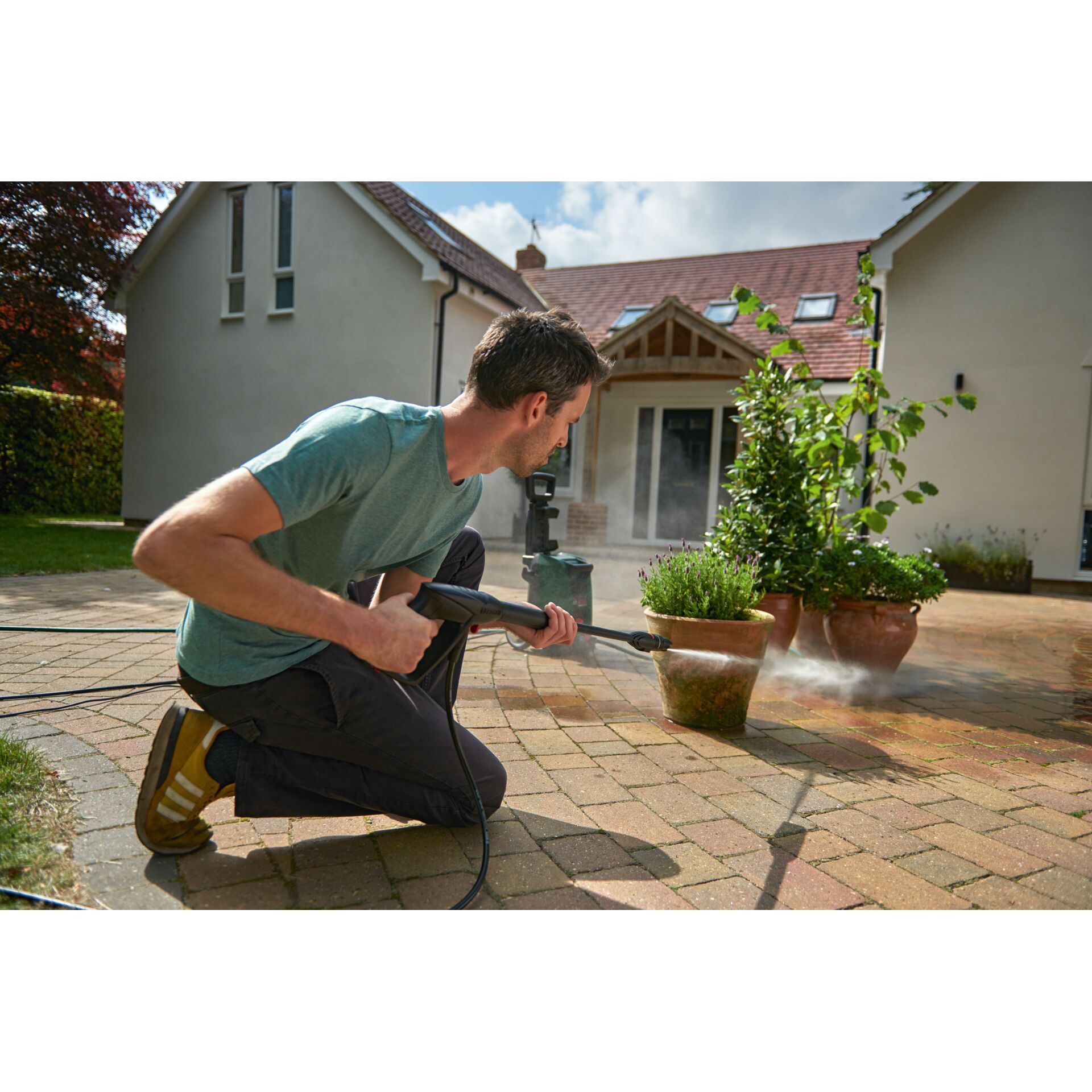 Topfpflanze, Pflanzgefäß, Innenarchitektur, Garten, Pfad