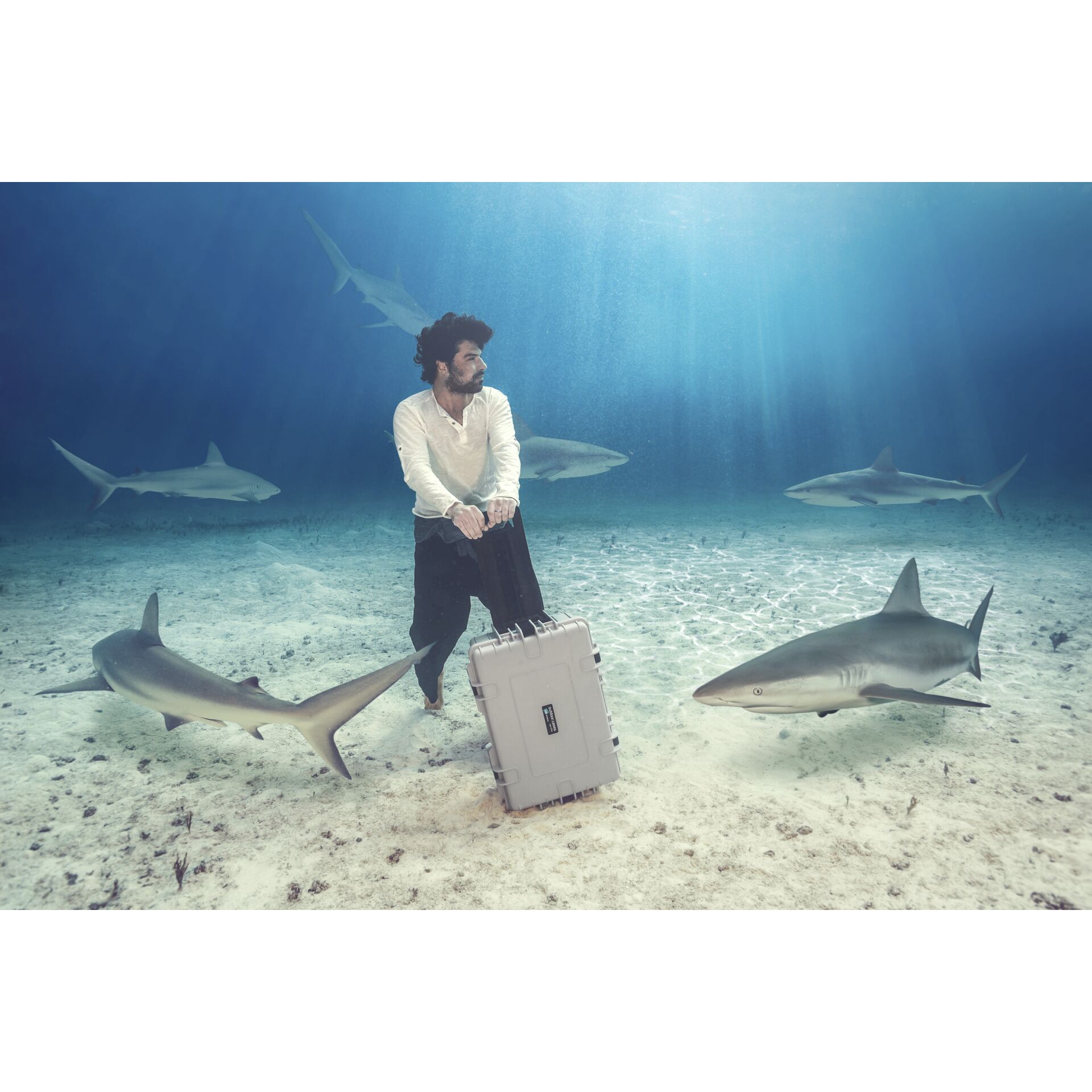 Draußen, Portrait, Wasser, Natur, Hai