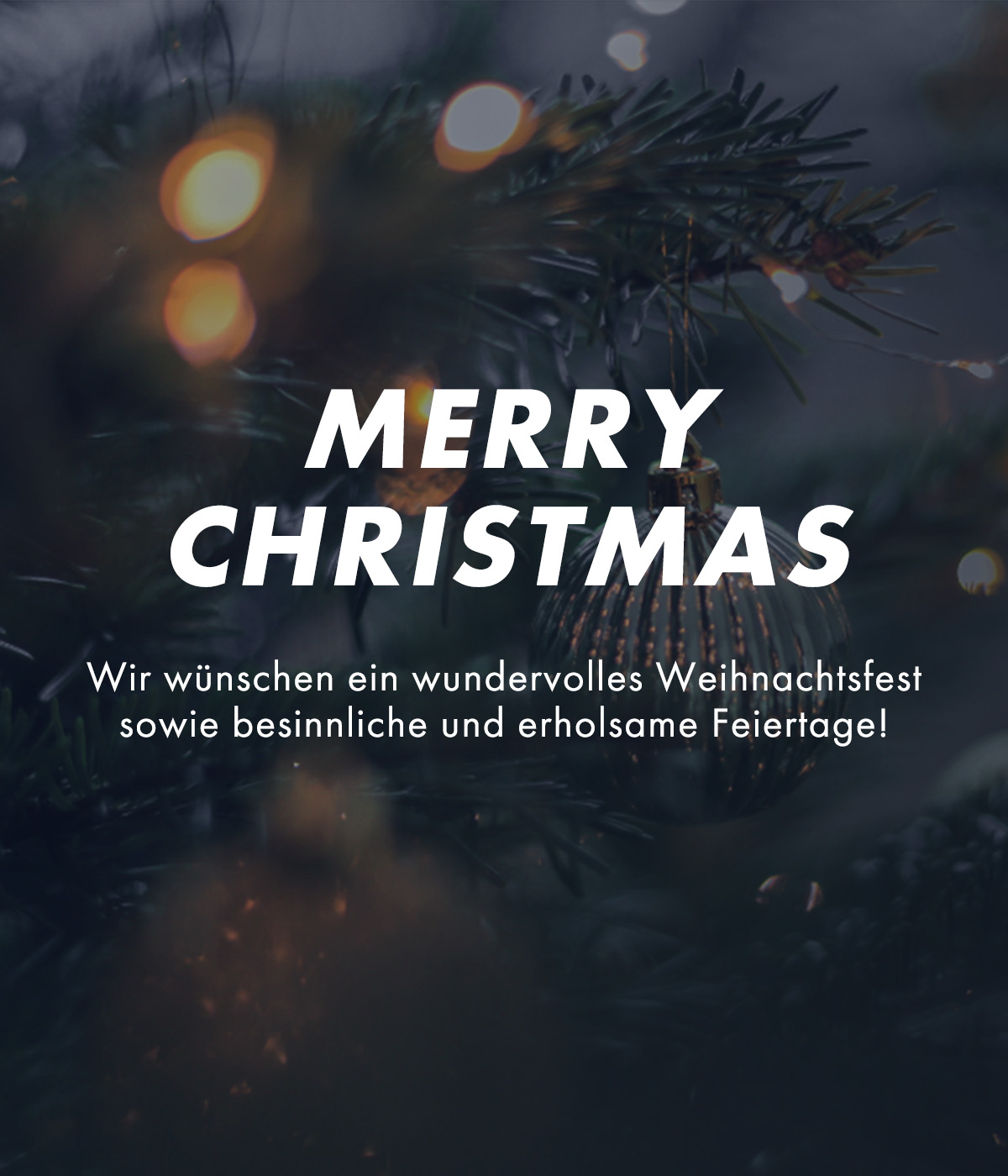 Werbung, Plakat, Pflanze, Baum