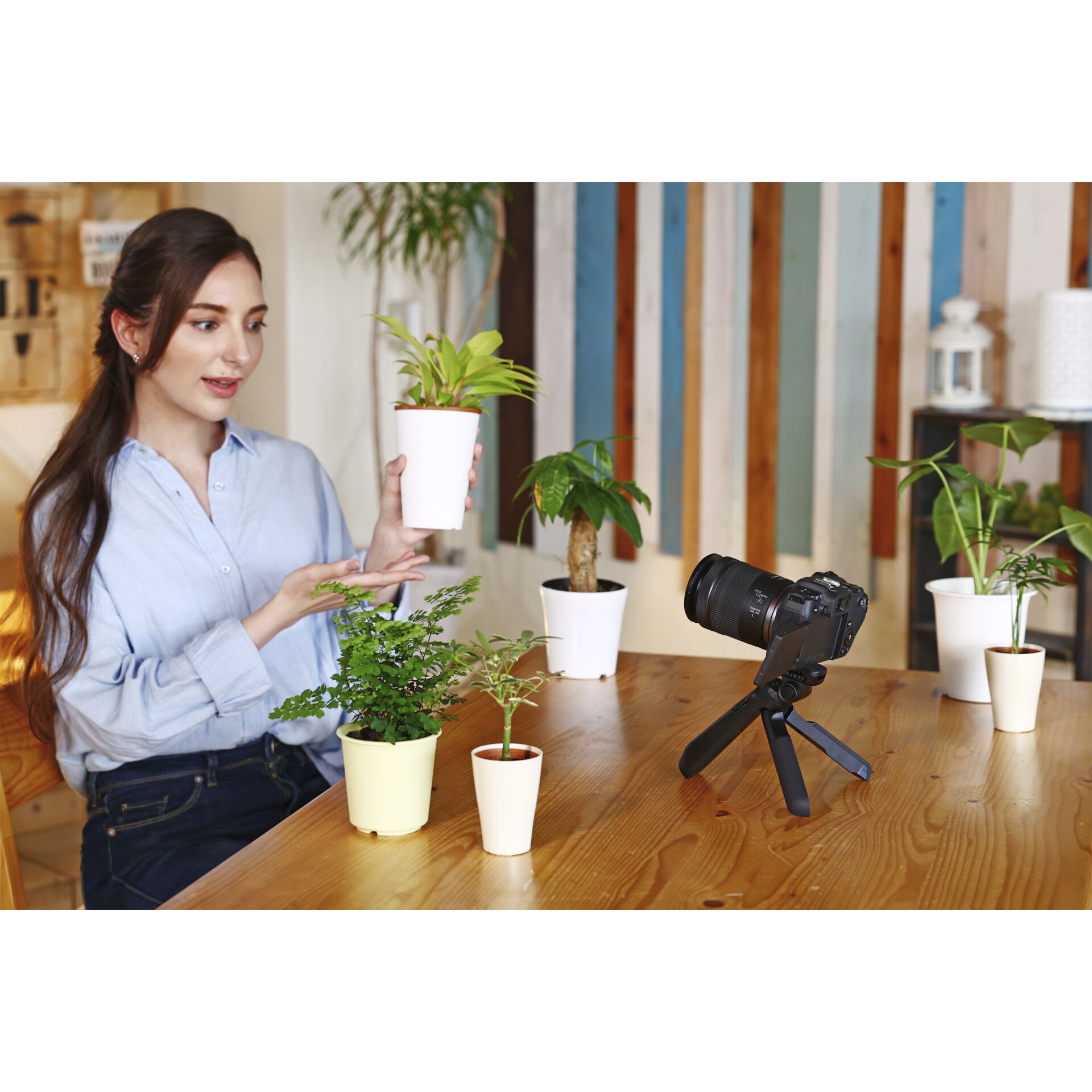 Photographie, Topfpflanze, Holz, Person, Frau