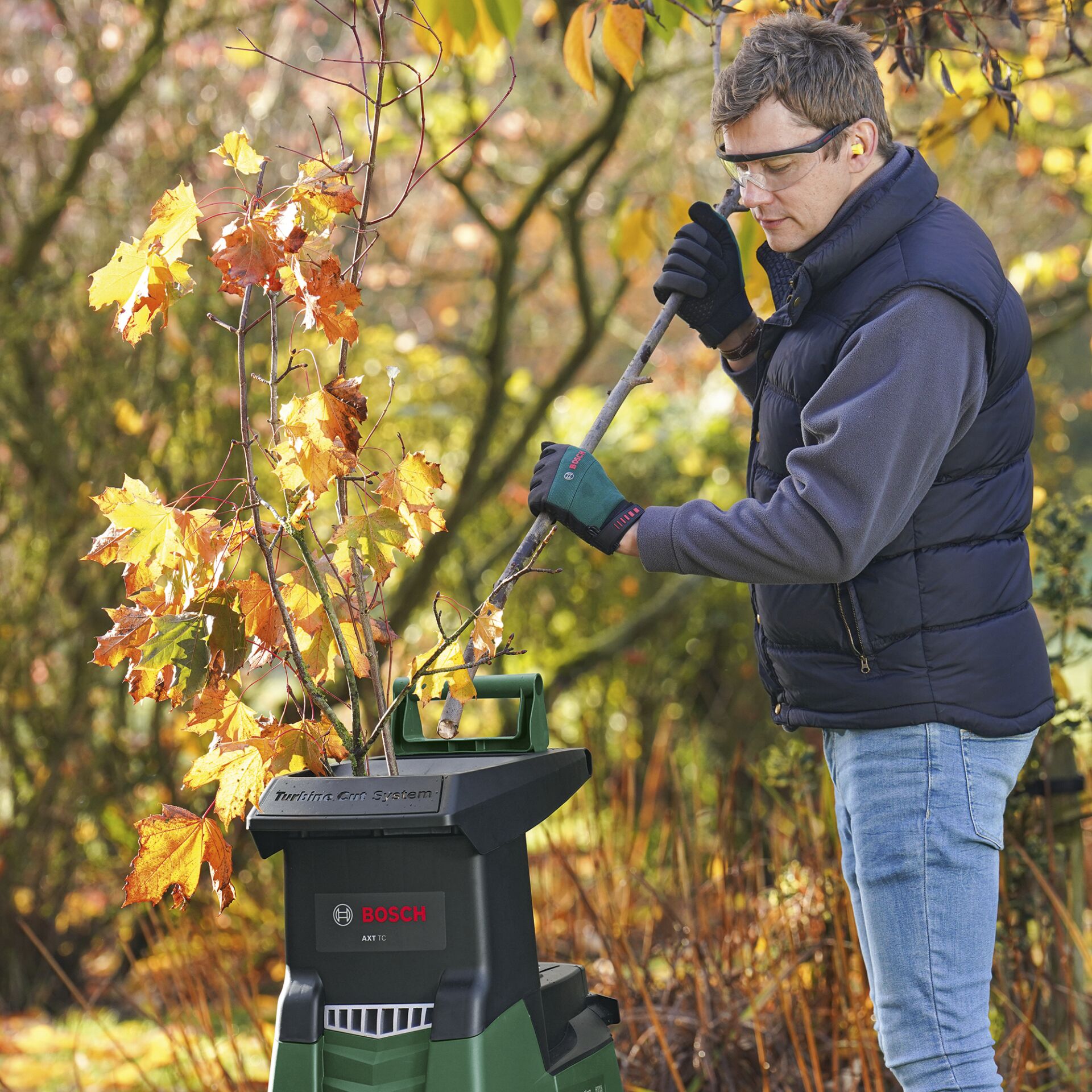 Blatt, Gras, Rasen, Handschuh, Baum