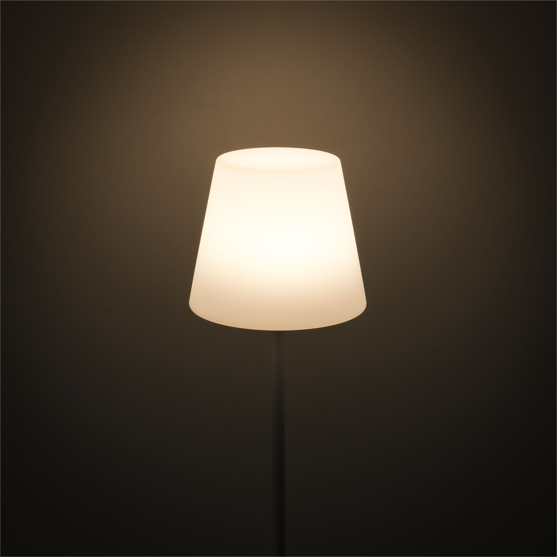 Lampe, Lampenschirm