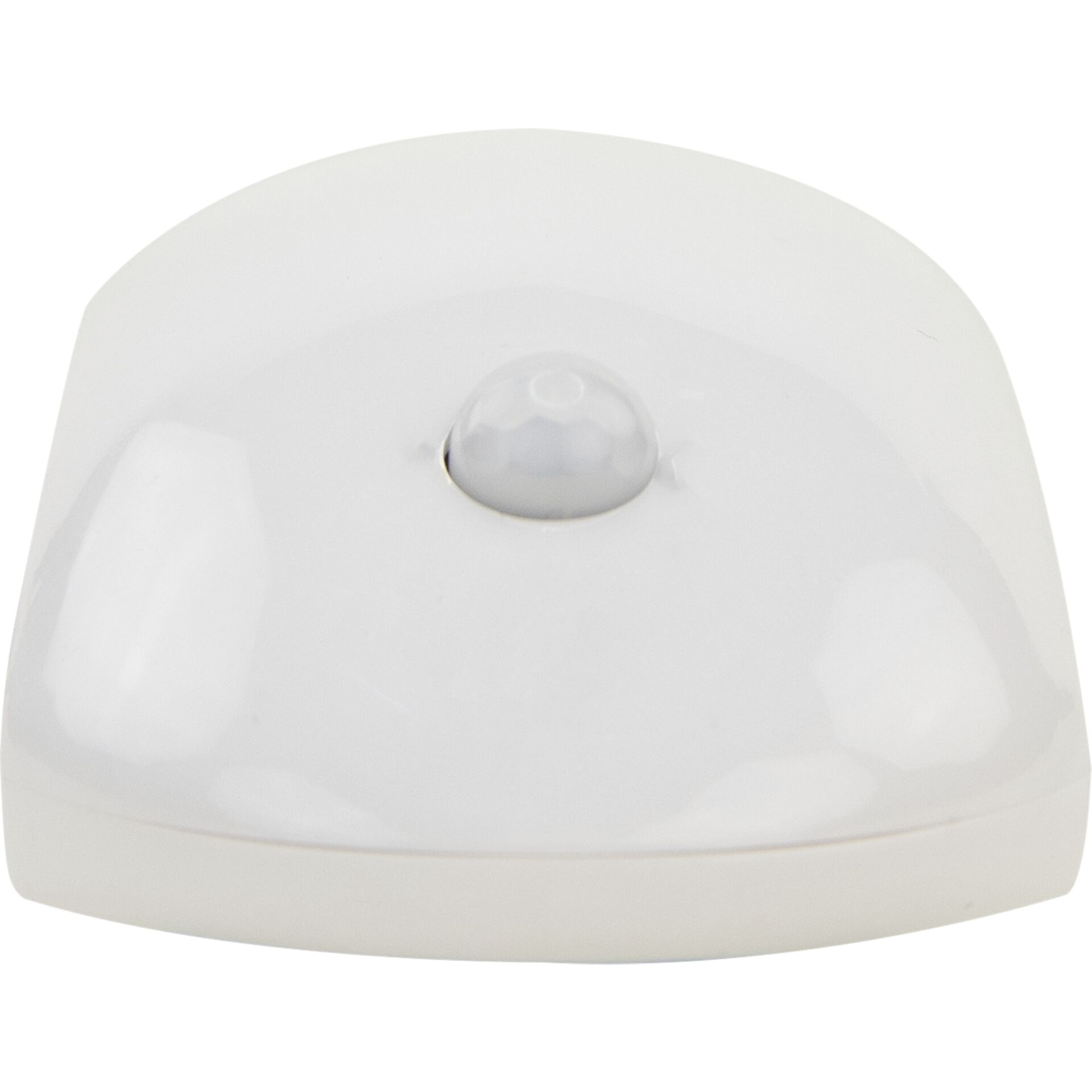 Computerausrüstung, Maus, Teller, Porzellan