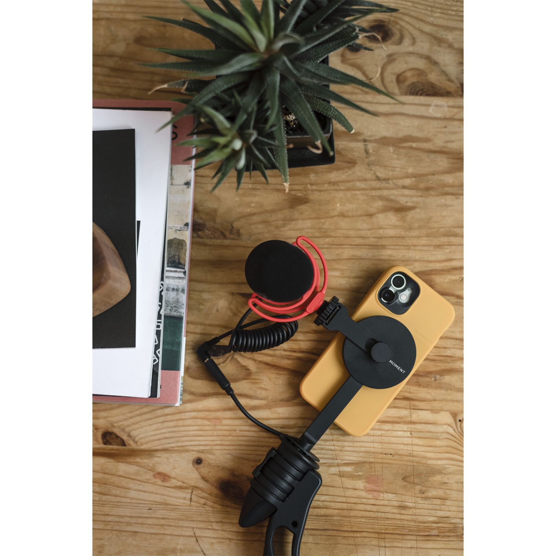 Elektronik, Adapter, Drinnen, Innenarchitektur, Pflanze