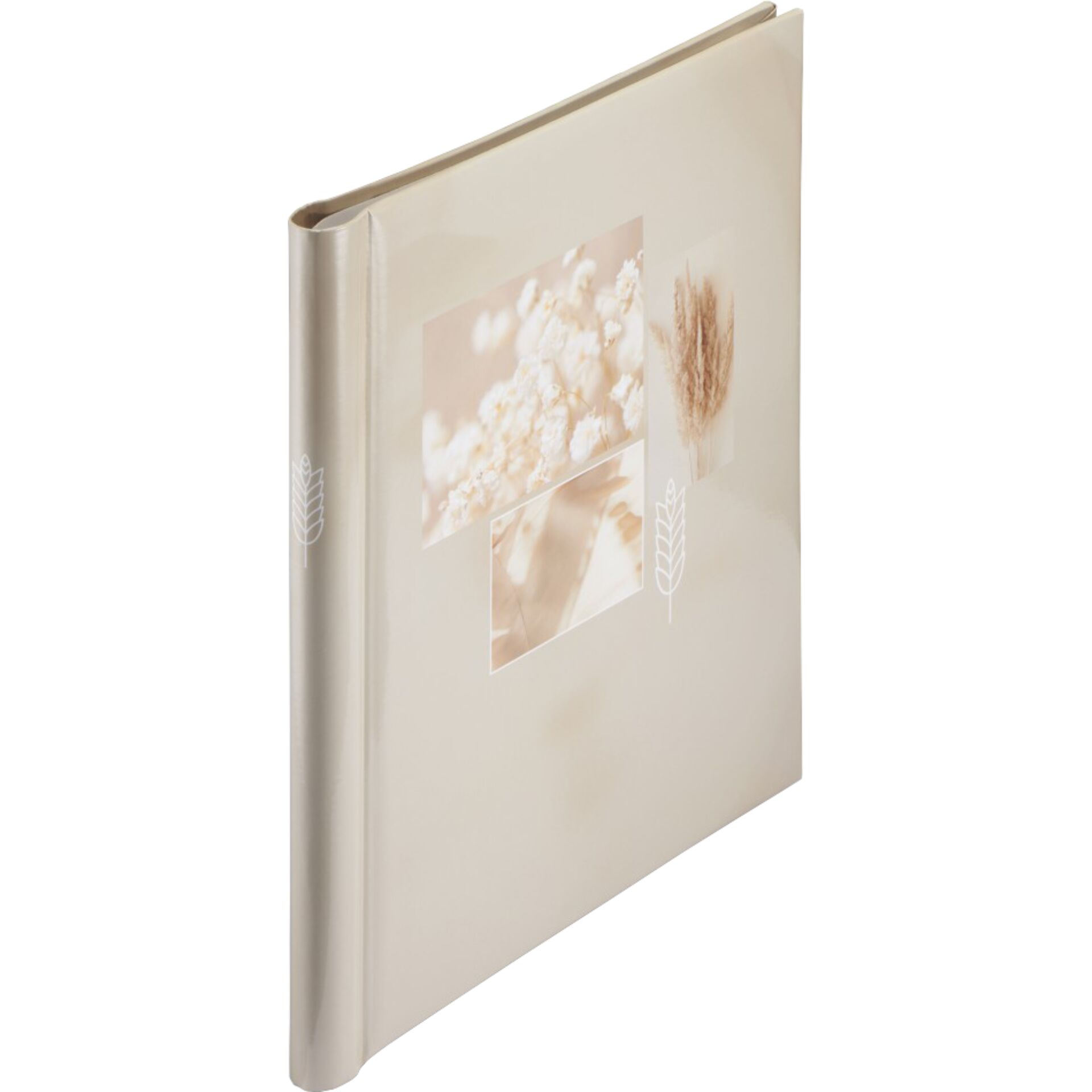 Buch, Veröffentlichung