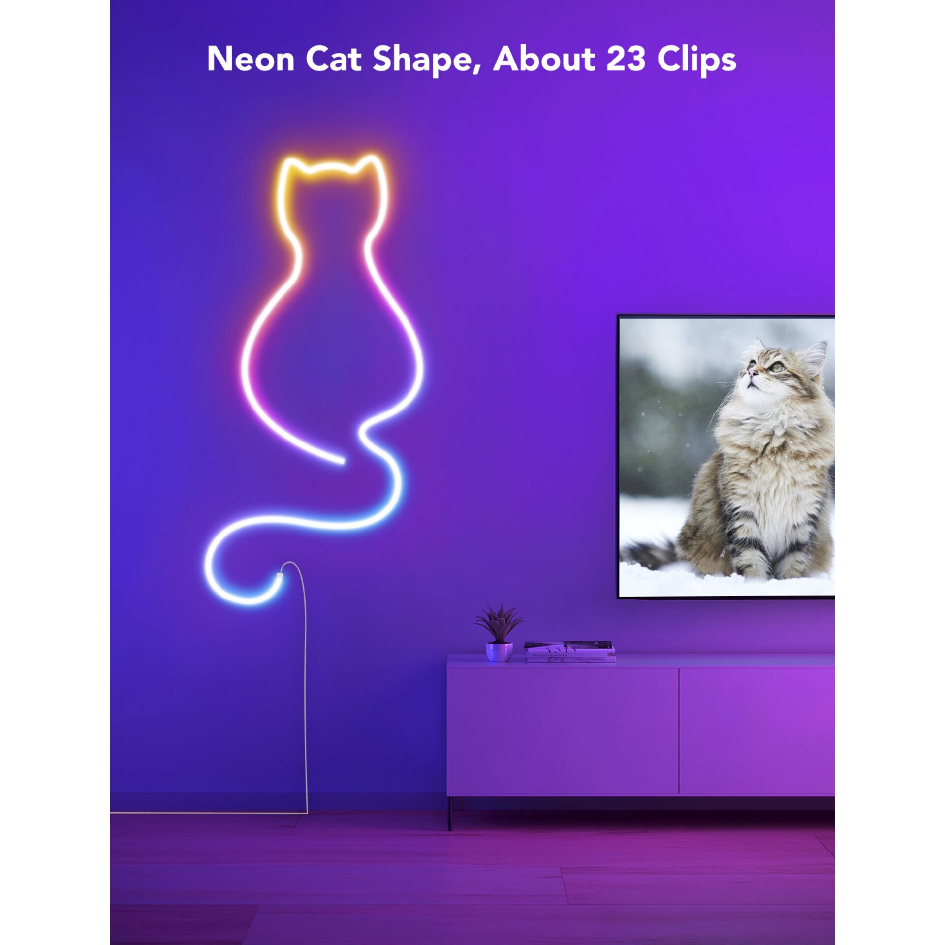 Licht, Pflanze, Katze, Säugetier, Haustier