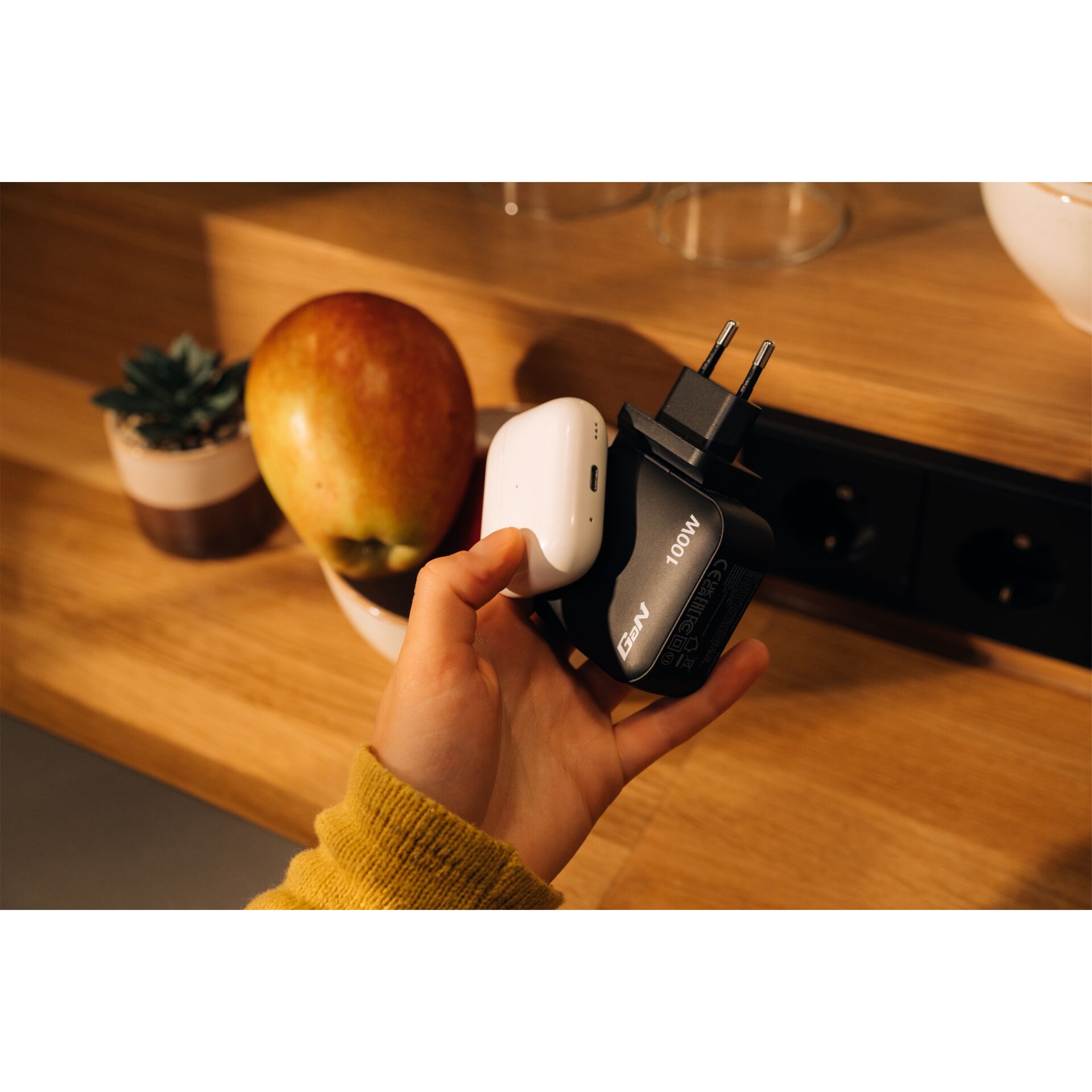 Pflanze, Küchenutensilien