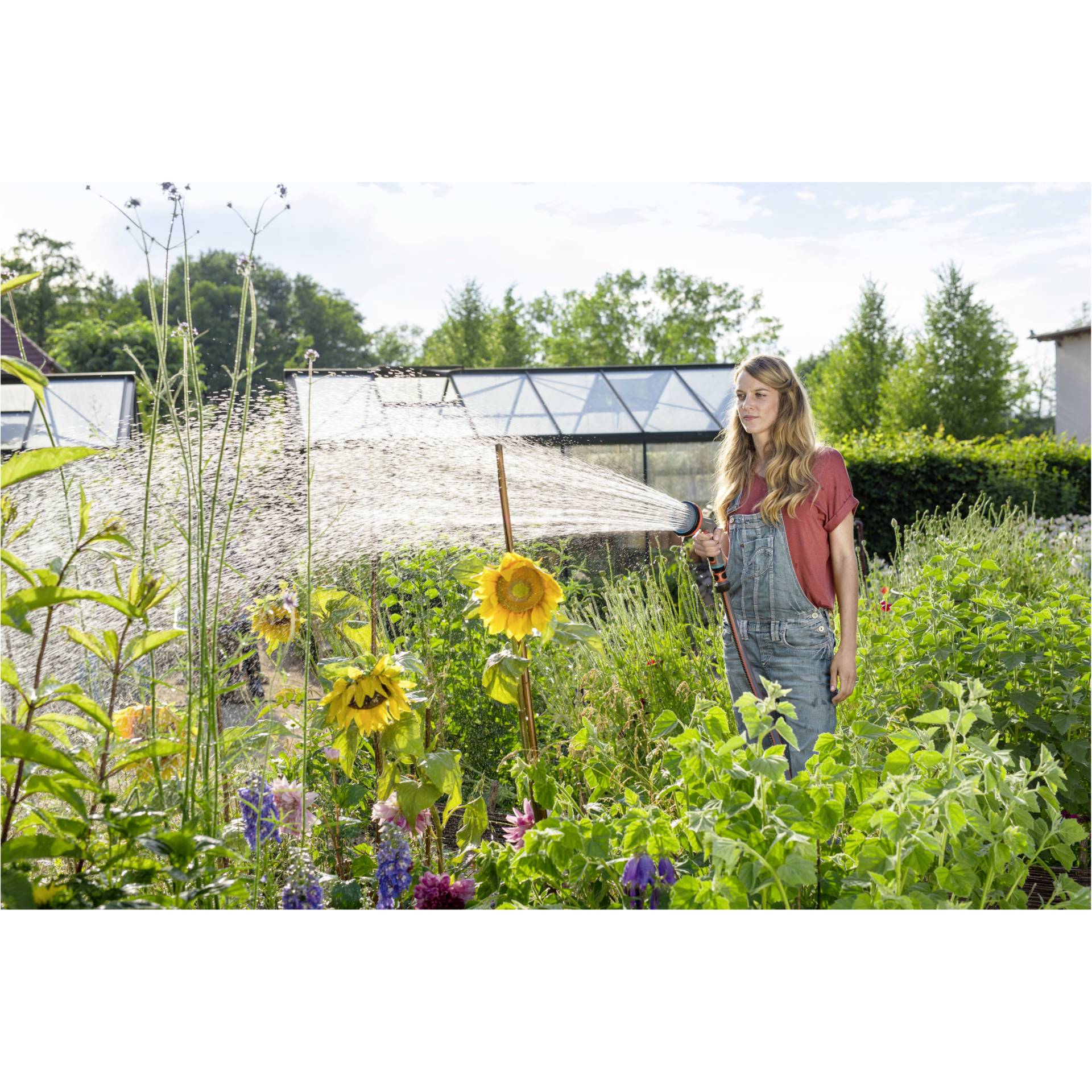 Garten, Kräuterig, Vegetation, Hinterhof, Innenarchitektur
