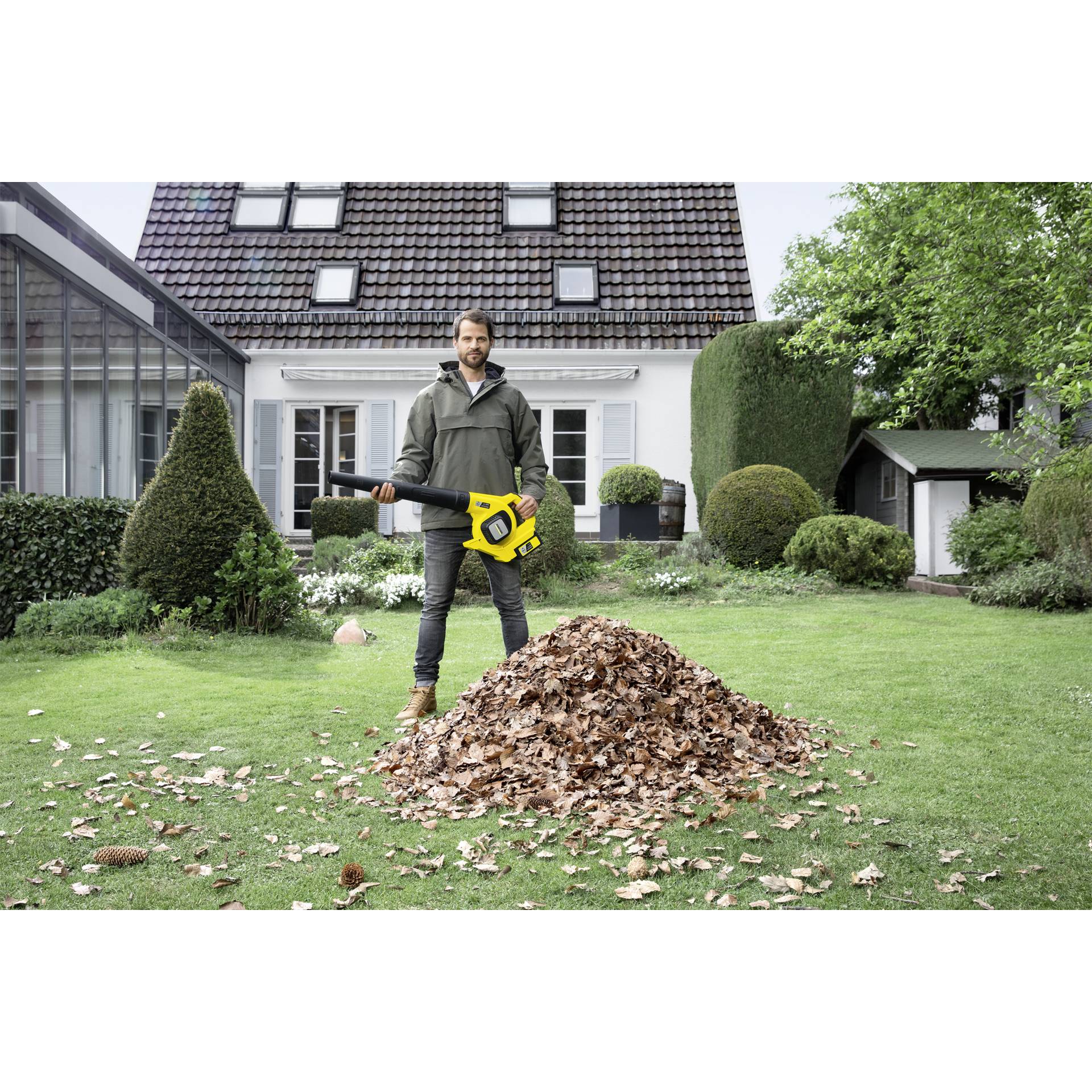 Gras, Pflanze, Rasen, Nachbarschaft