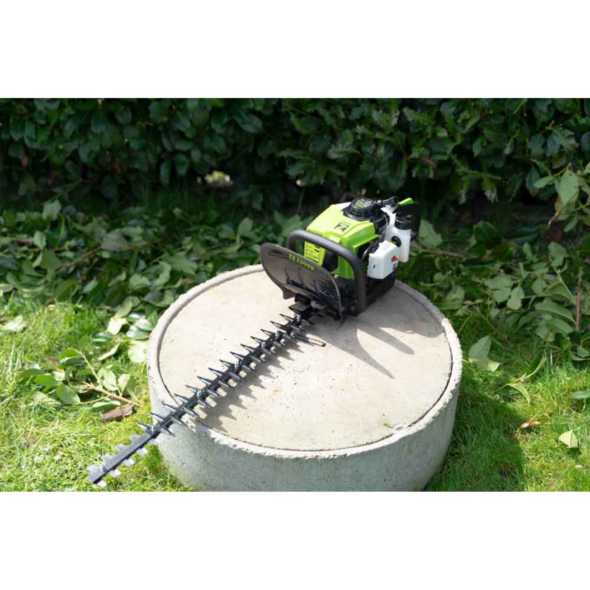 Gras, Pflanze, Gerät, Rasen