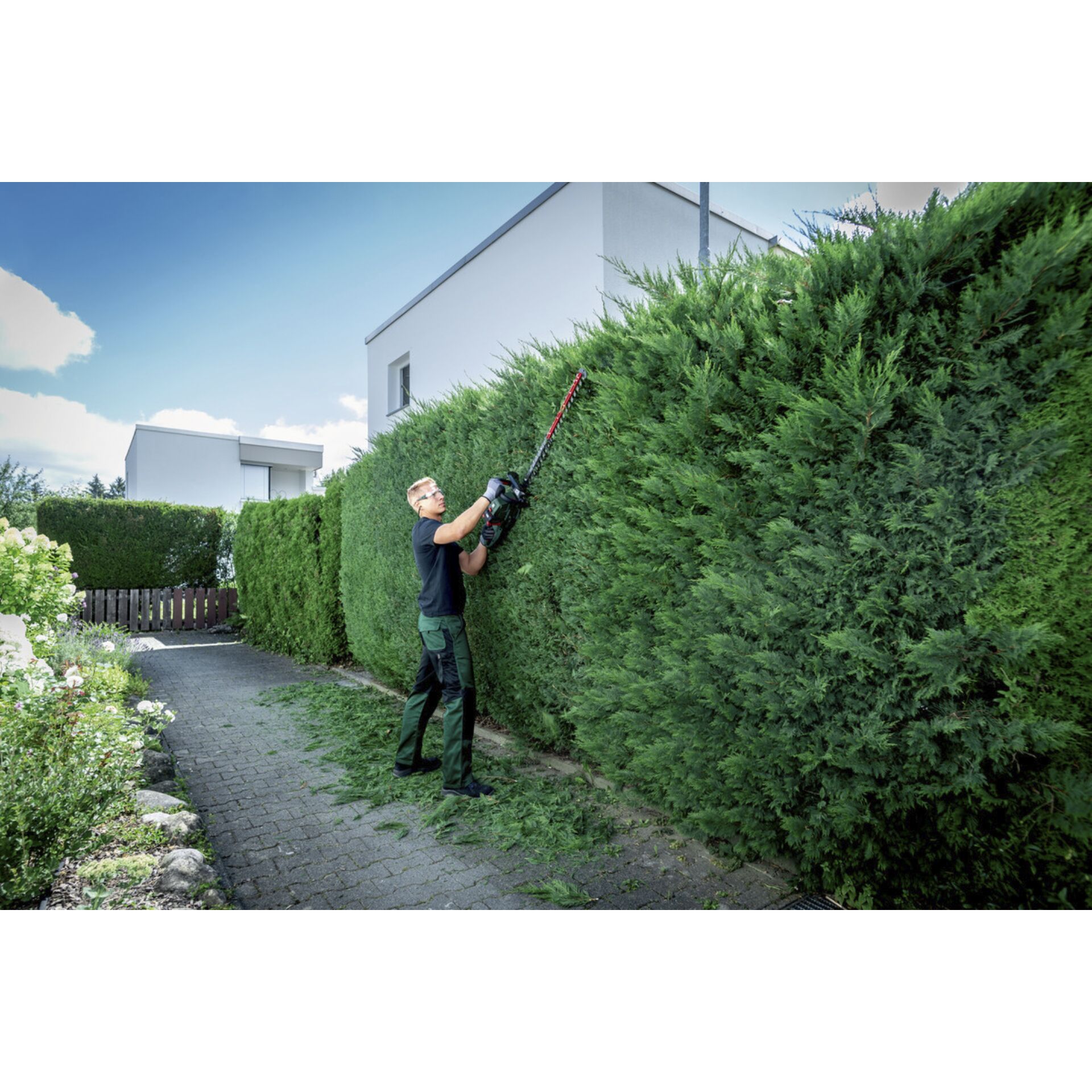 Zaun, Hecke, Garten, Bewuchs, Person