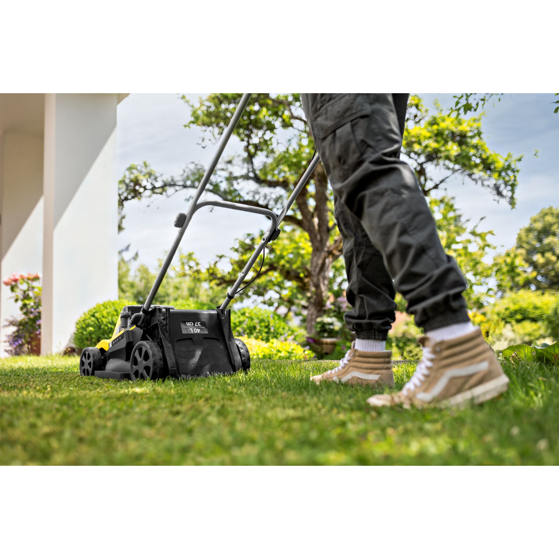 Gras, Rasen, Pflanze, Gerät, Rasenmäher