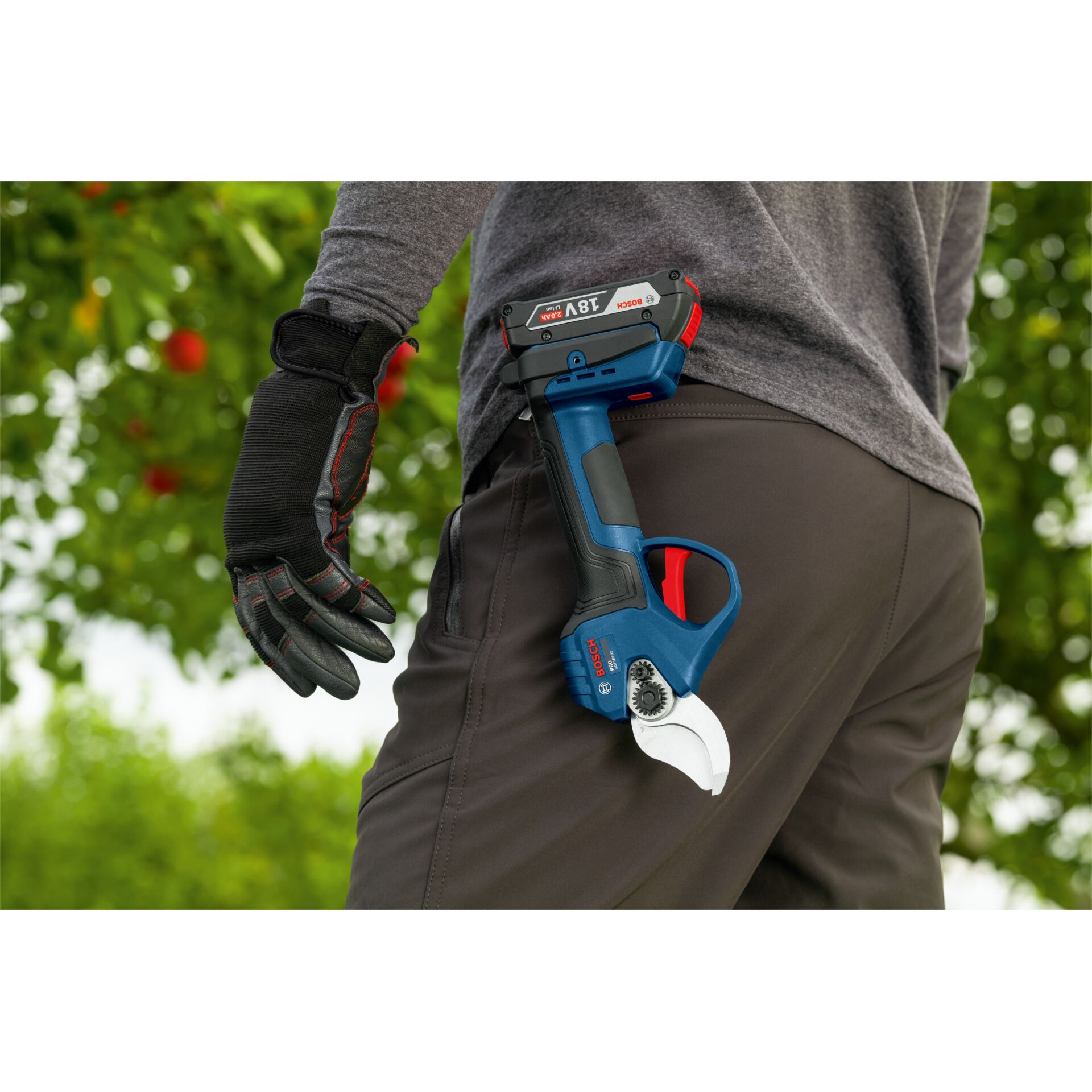 Gartenwerkzeug, Akkuschrauber, Abisolierzange, Kabelschneider, Pressewerkzeug