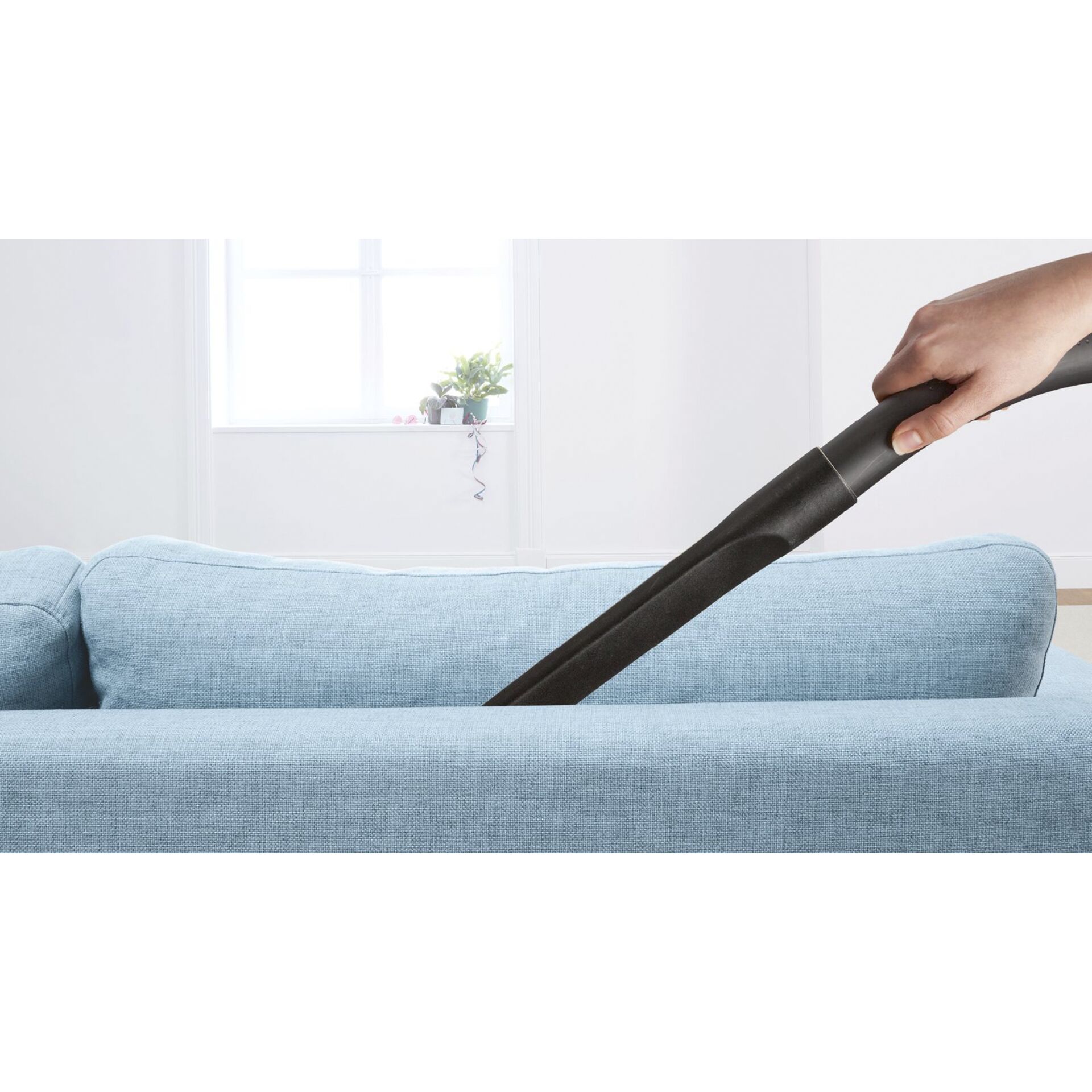 Stick, Drinnen, Innenarchitektur, Pflanze