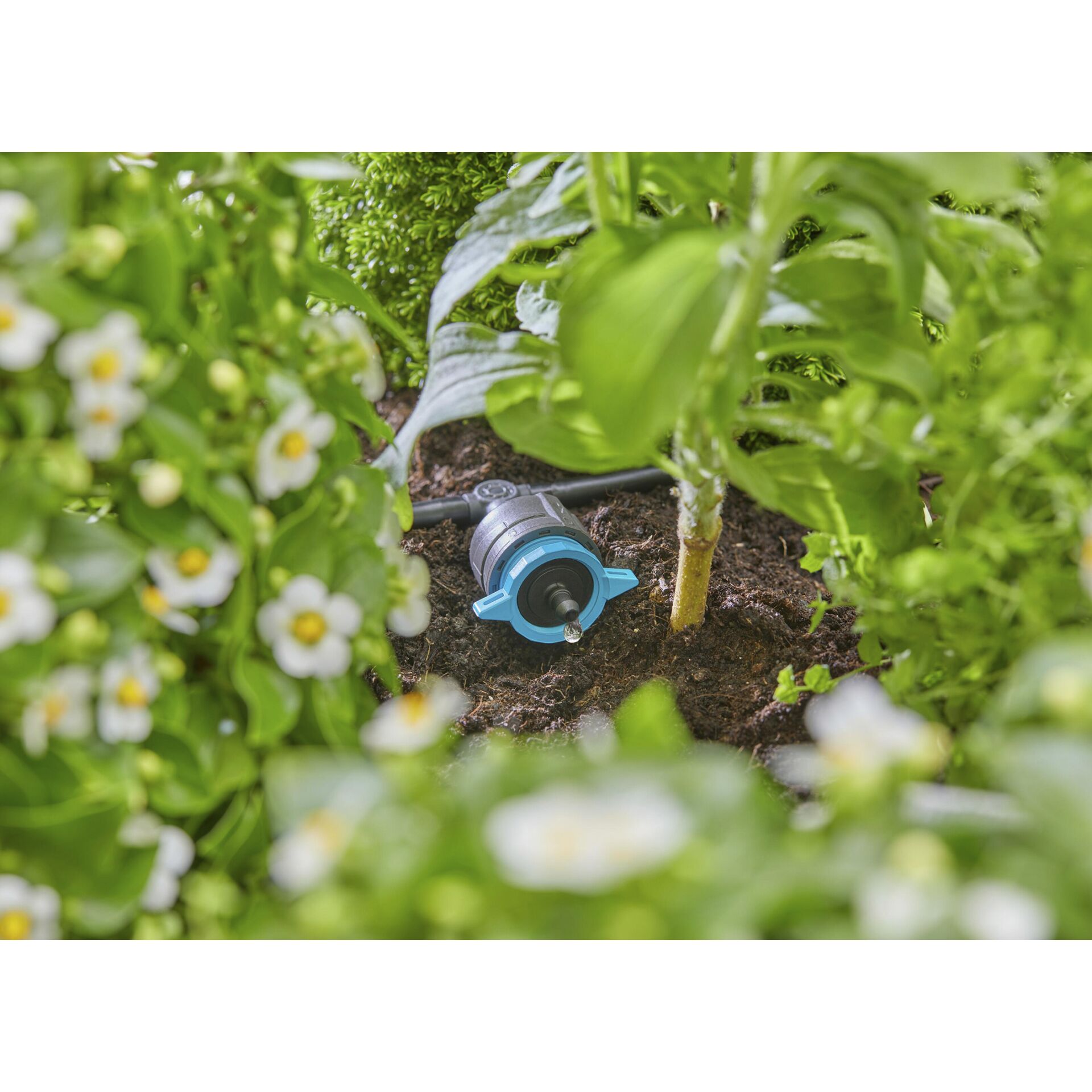 Garten, Natur, Kräuterig, Boden, Gartenarbeit