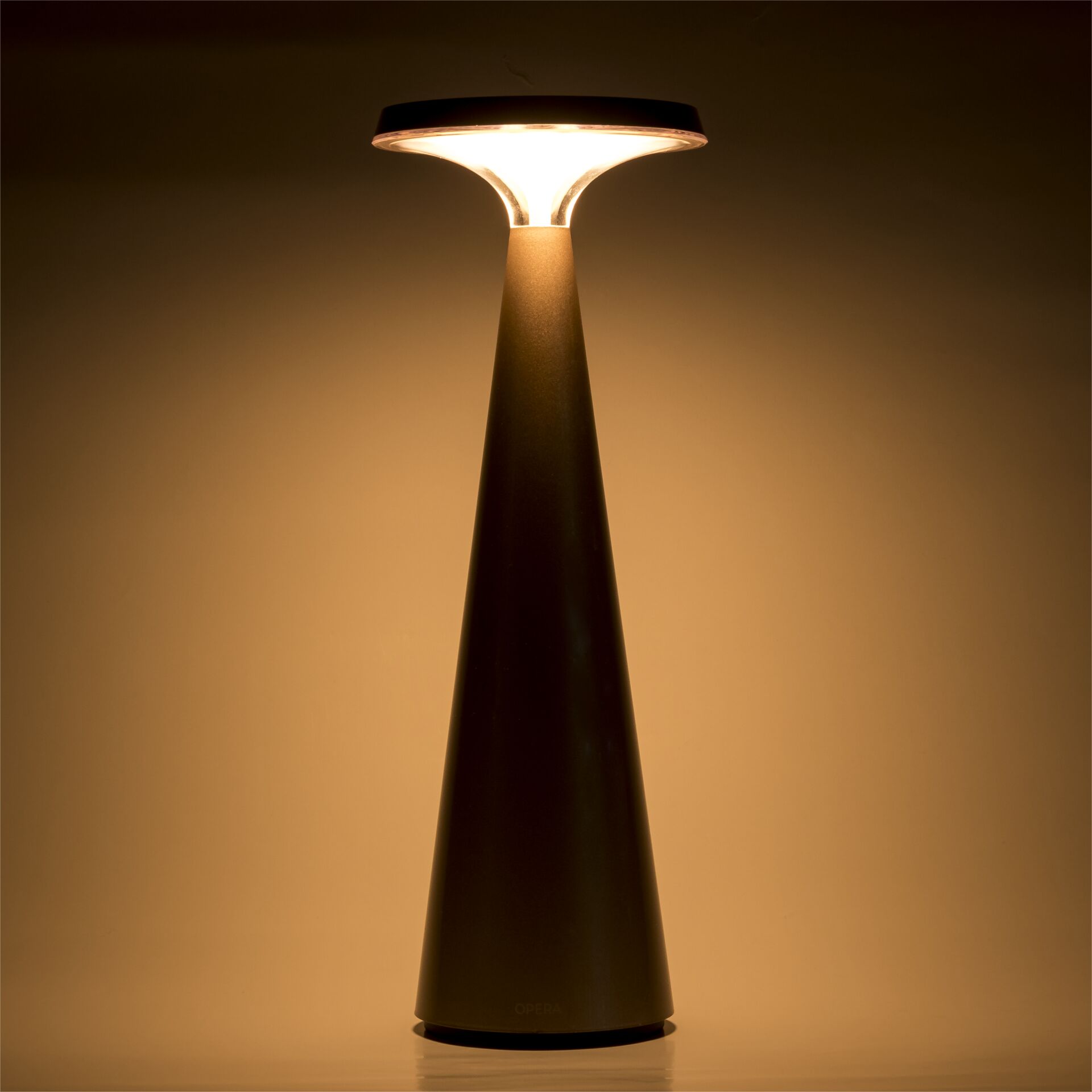Lampe, Lampenschirm