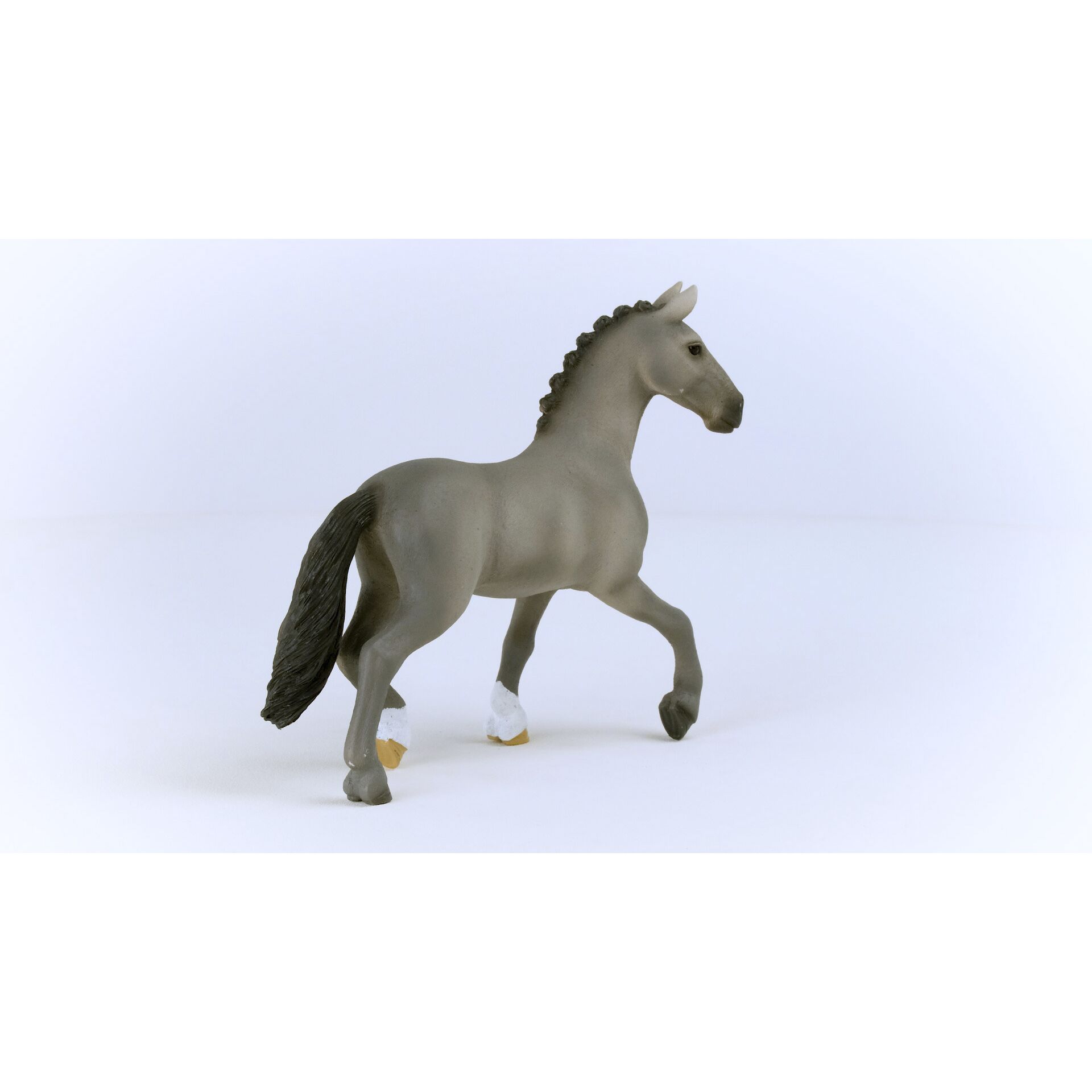 Tier, Pferd, Säugetier, Colt Horse, Andalusisches Pferd