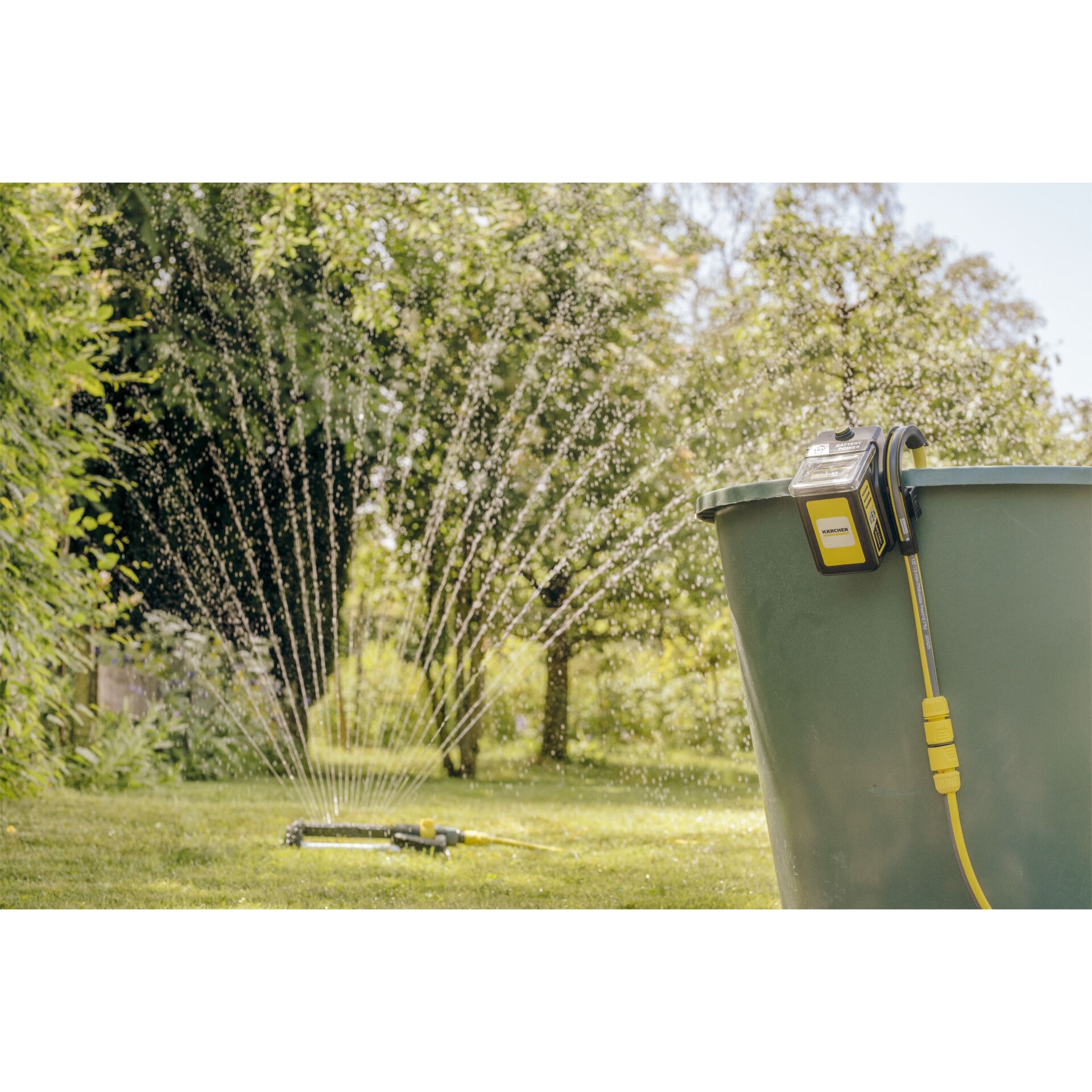 Gras, Pflanze, Wasser, Rasen, Maschine