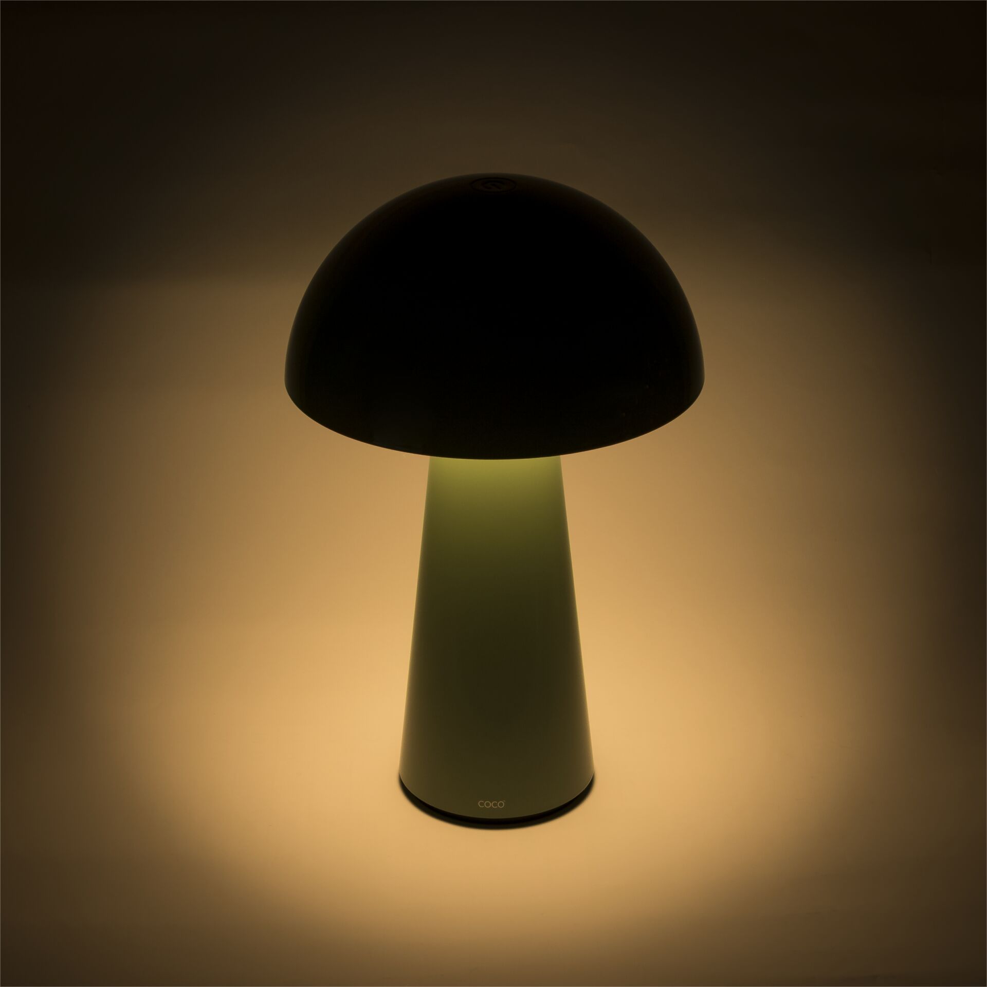 Lampe, Lampenschirm