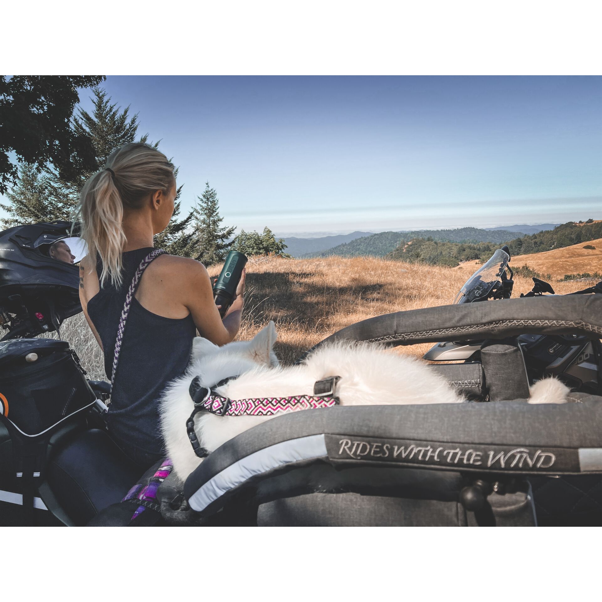 Photographie, Urlaub, Erwachsener, Person, Frau