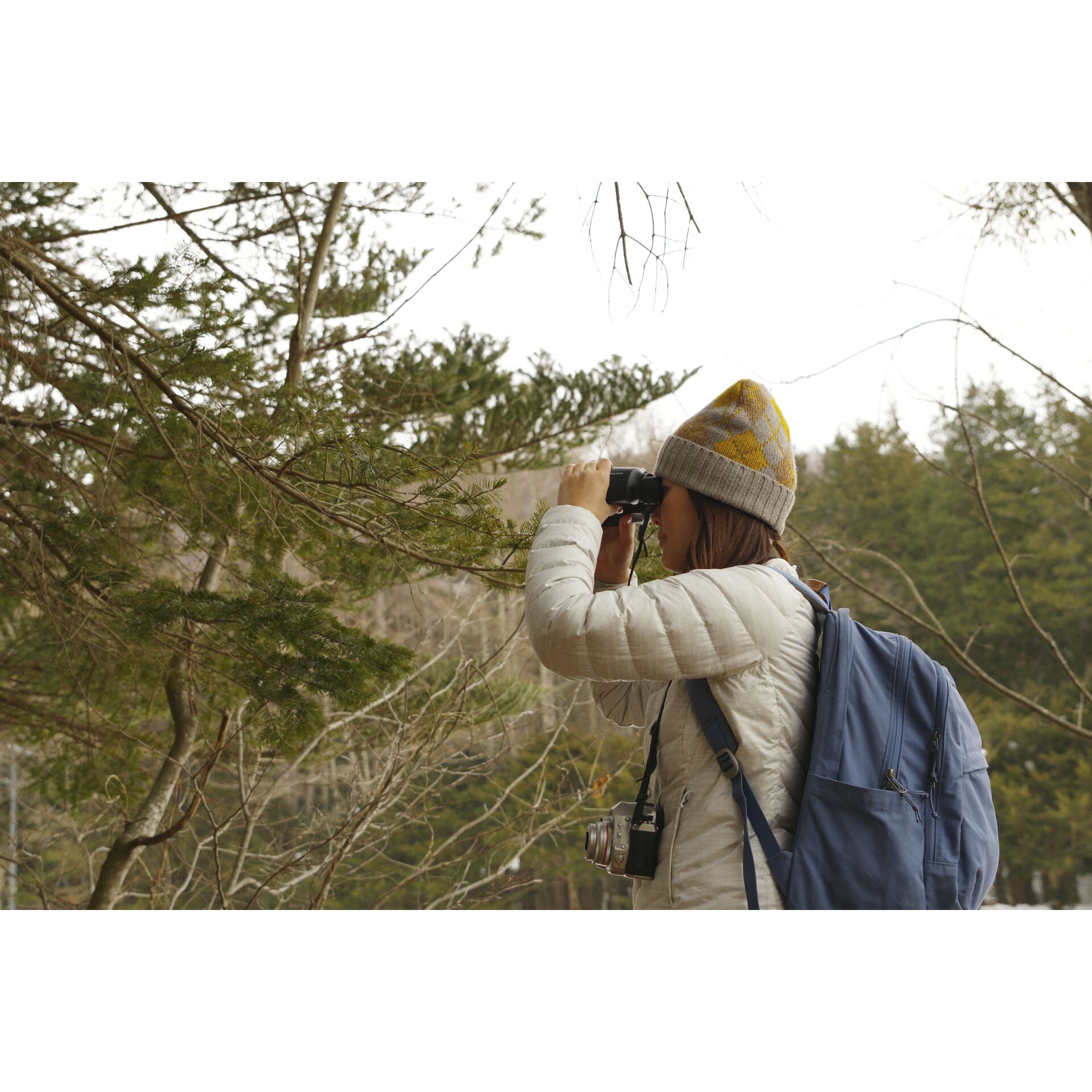 Photographie, Person, Fotograf, Kamera, Elektronik