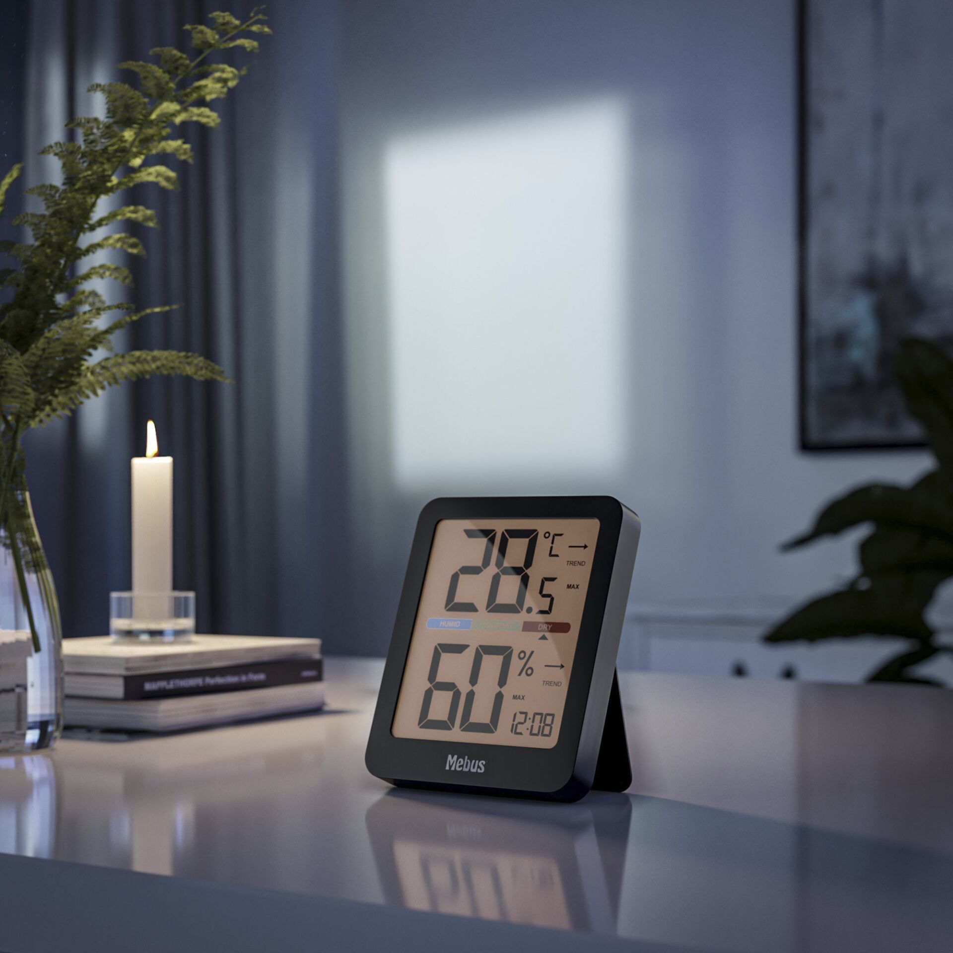 Computerausrüstung, Überwachen, Bildschirm, Topfpflanze