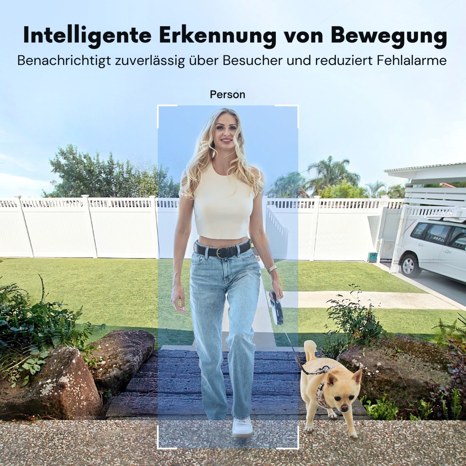 Hosen, Jeanshose, Gürtel, Hund, Person, Hosen, Jeans, Gürtel, Gras, Hund