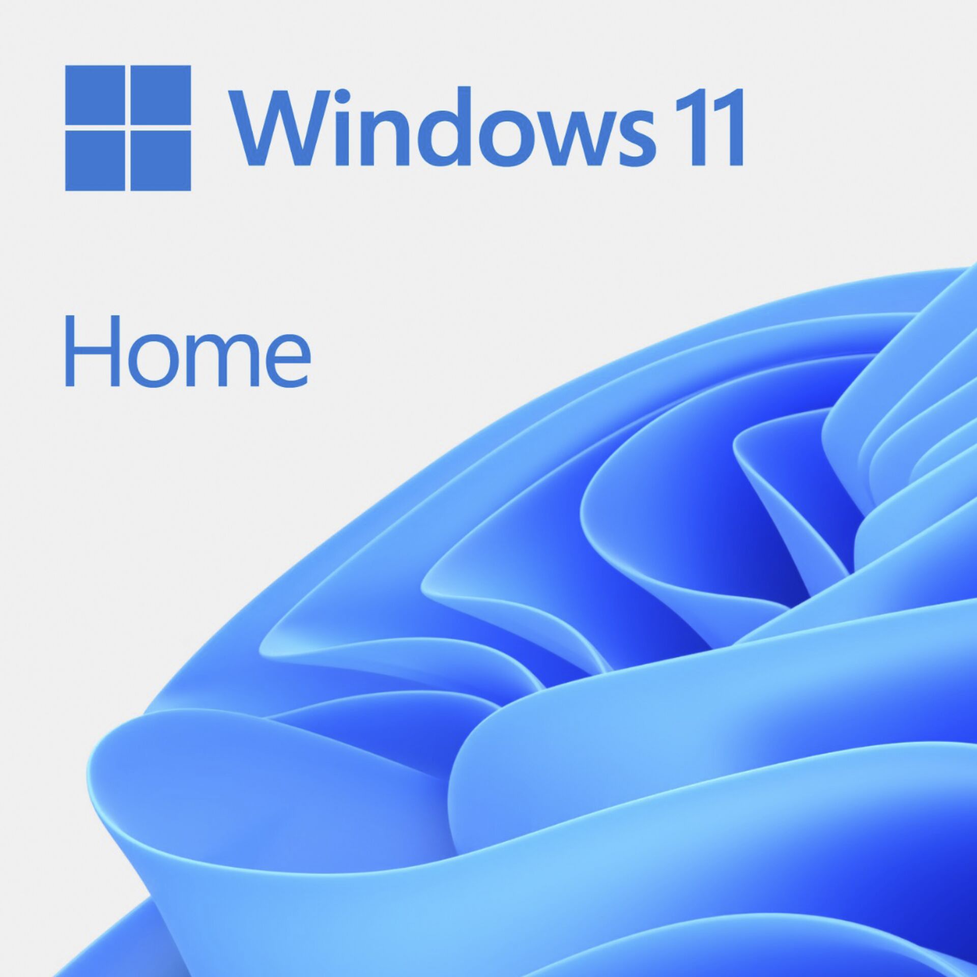 Microsoft Windows 11 Home  64 bit