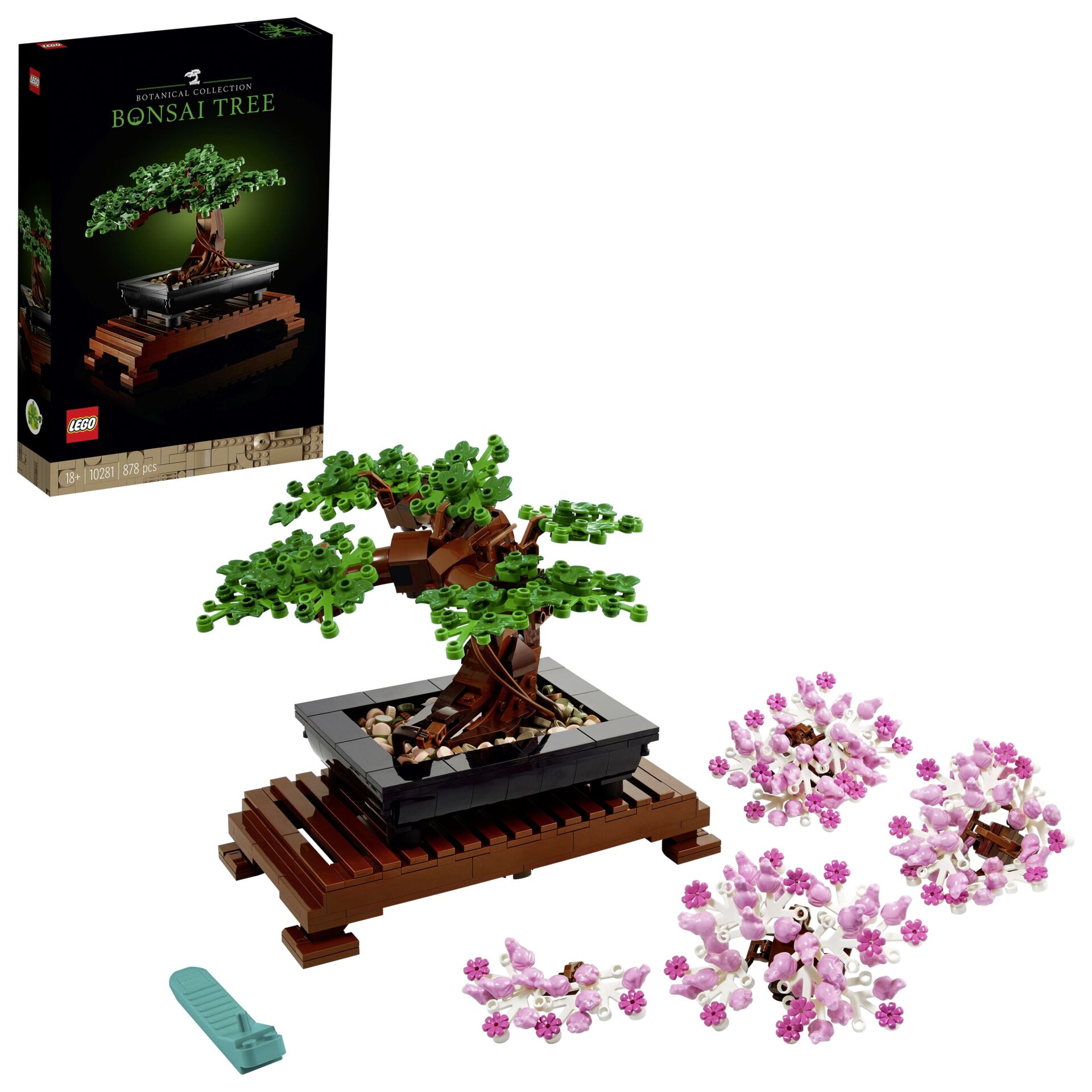 Topfpflanze, Baum, Bonsai, Blume, Blumen-Arrangement