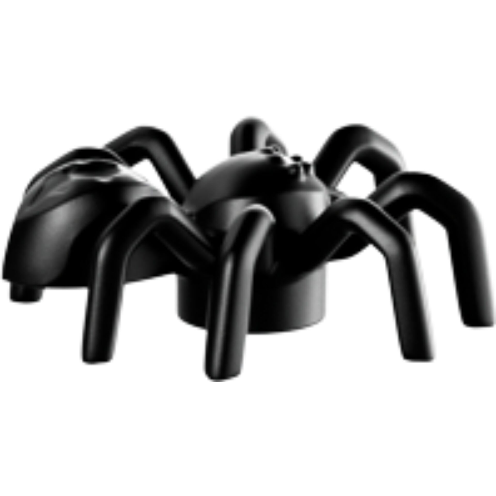 Zimmer, Duscharmatur, Tier, Spinne, Vogelspinne