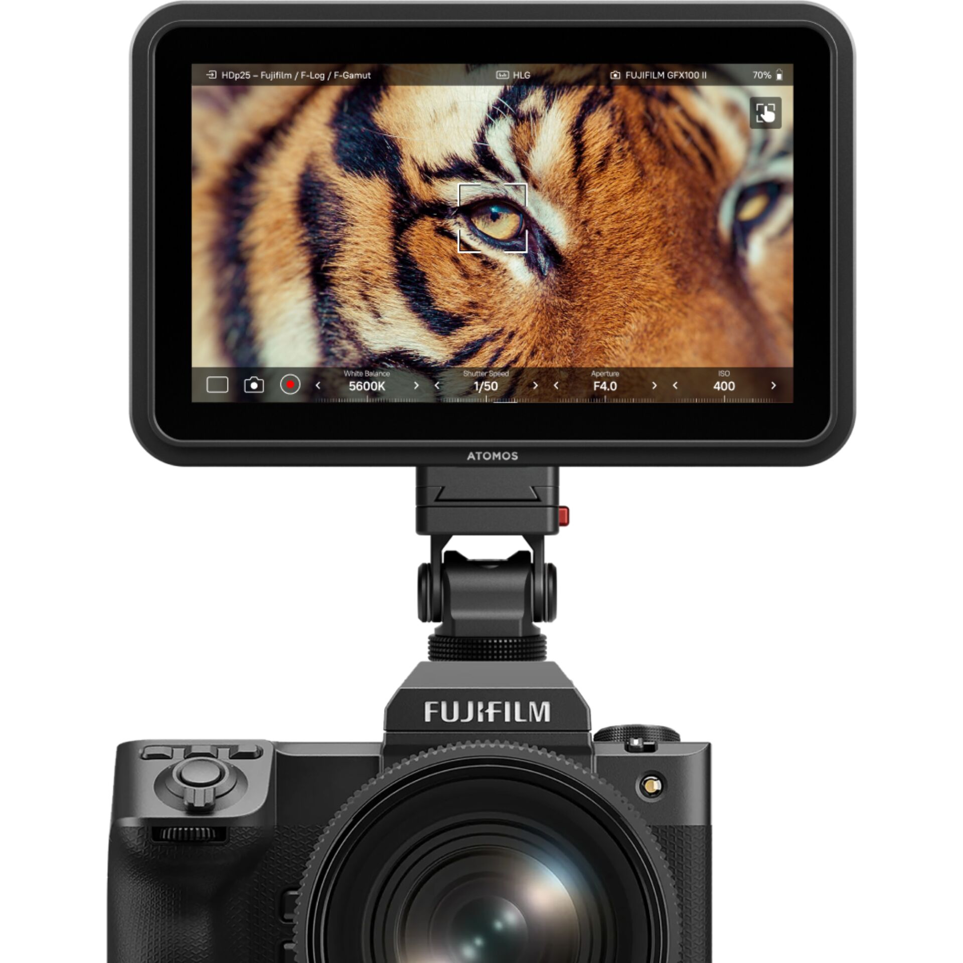 kamera, Digitaler Monitor, FujiFilm, Tiger Blick, Lichtführung