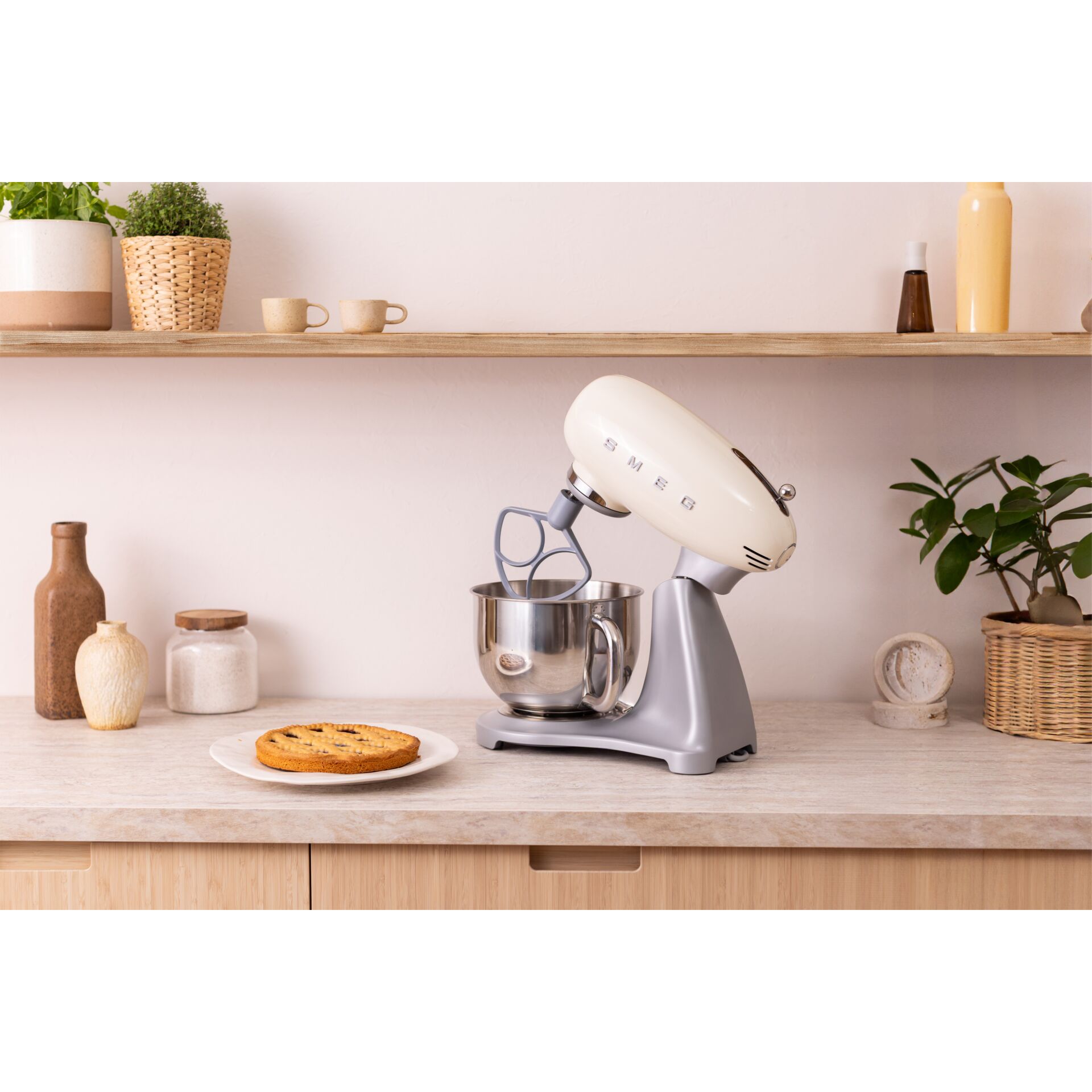 Gerät, Elektrisches Gerät, Mischer, Pflanze