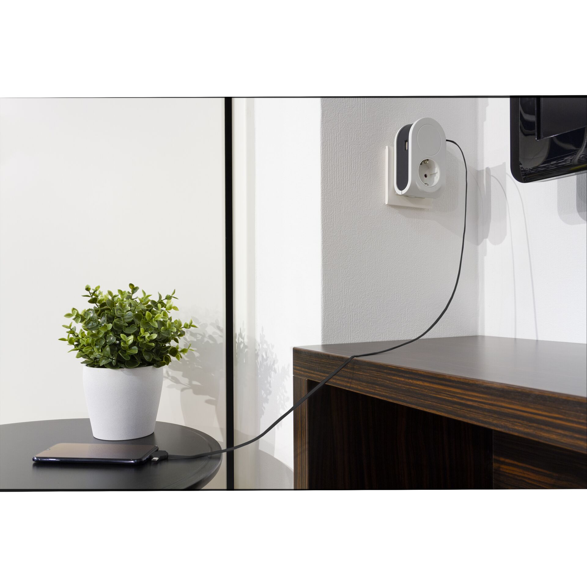 Pflanze, Pflanze im Topf, Lampe, Innenarchitektur, Pflanzgefäß