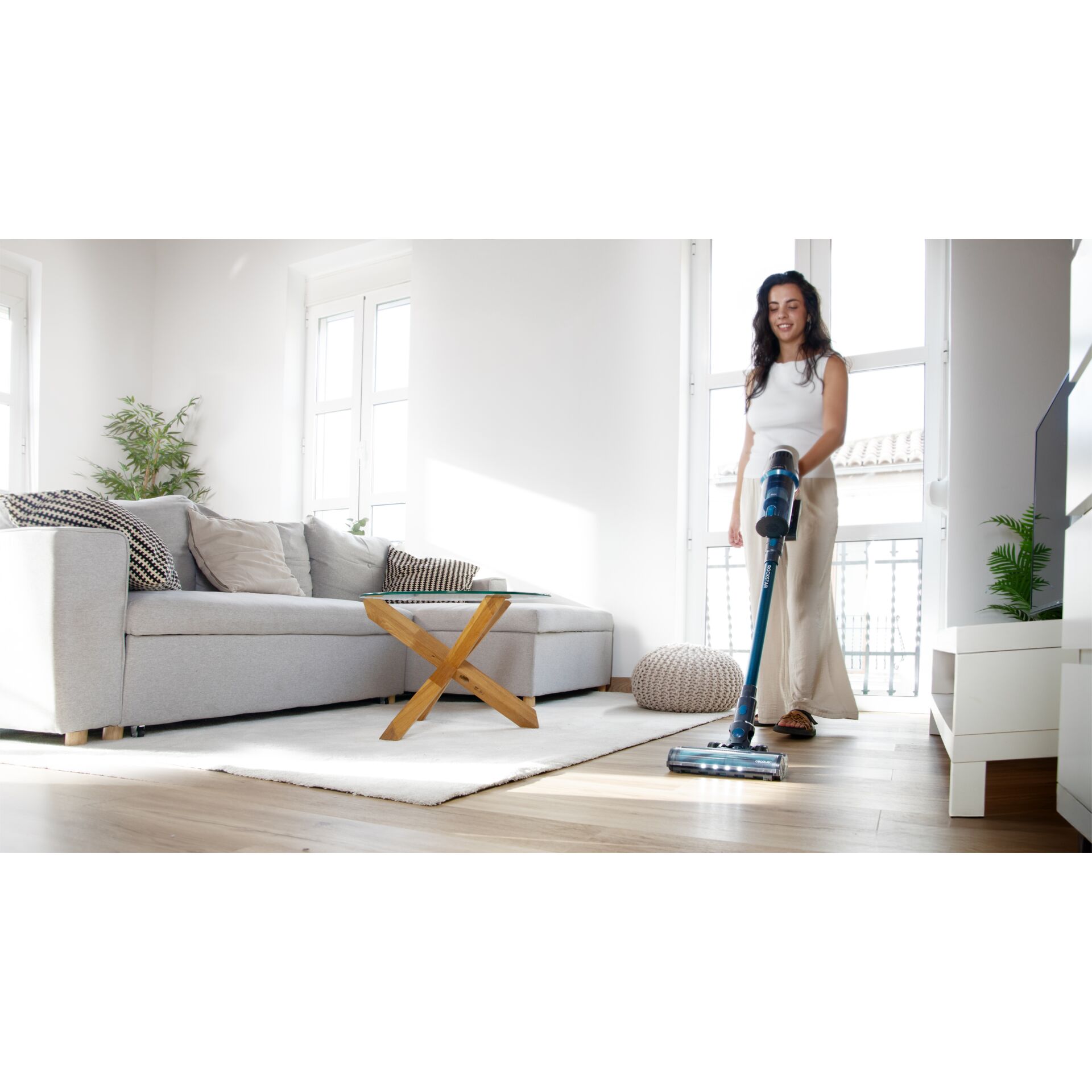 Staubsauger, Akku-Staubsauger, Sofa, Wohnzimmer, Holzboden