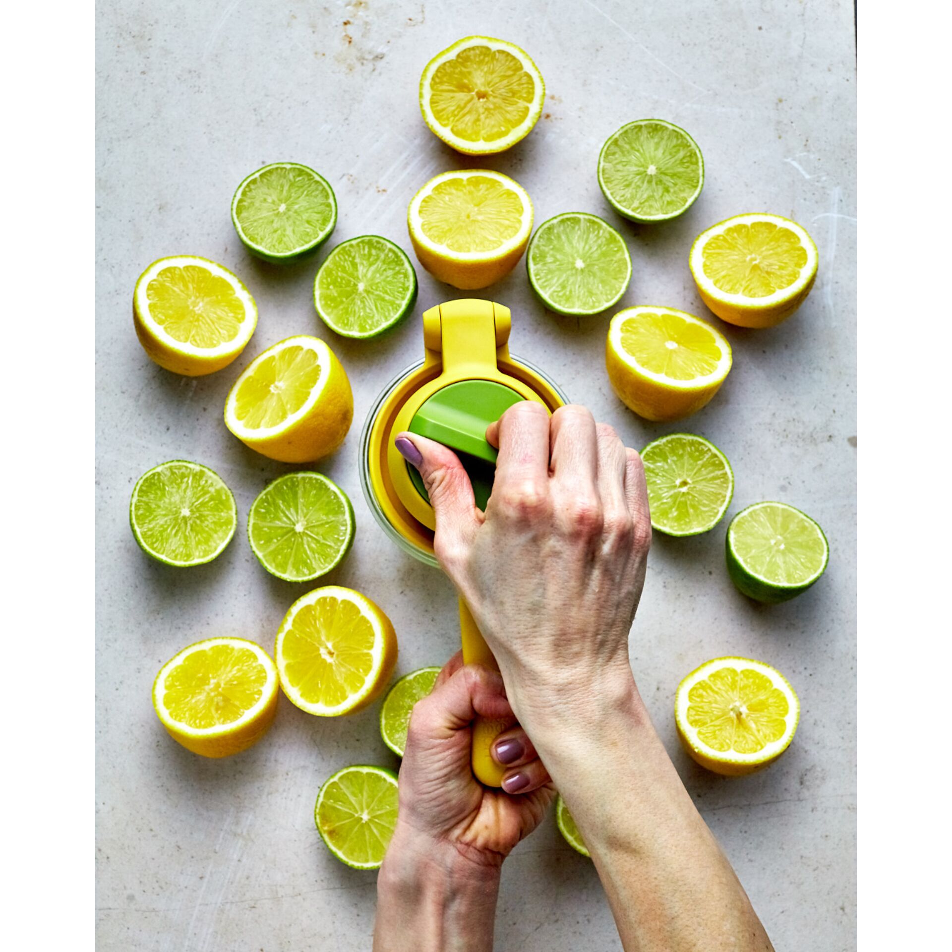 Zitrusfrucht, Obst, Pflanze, Produzieren, Person