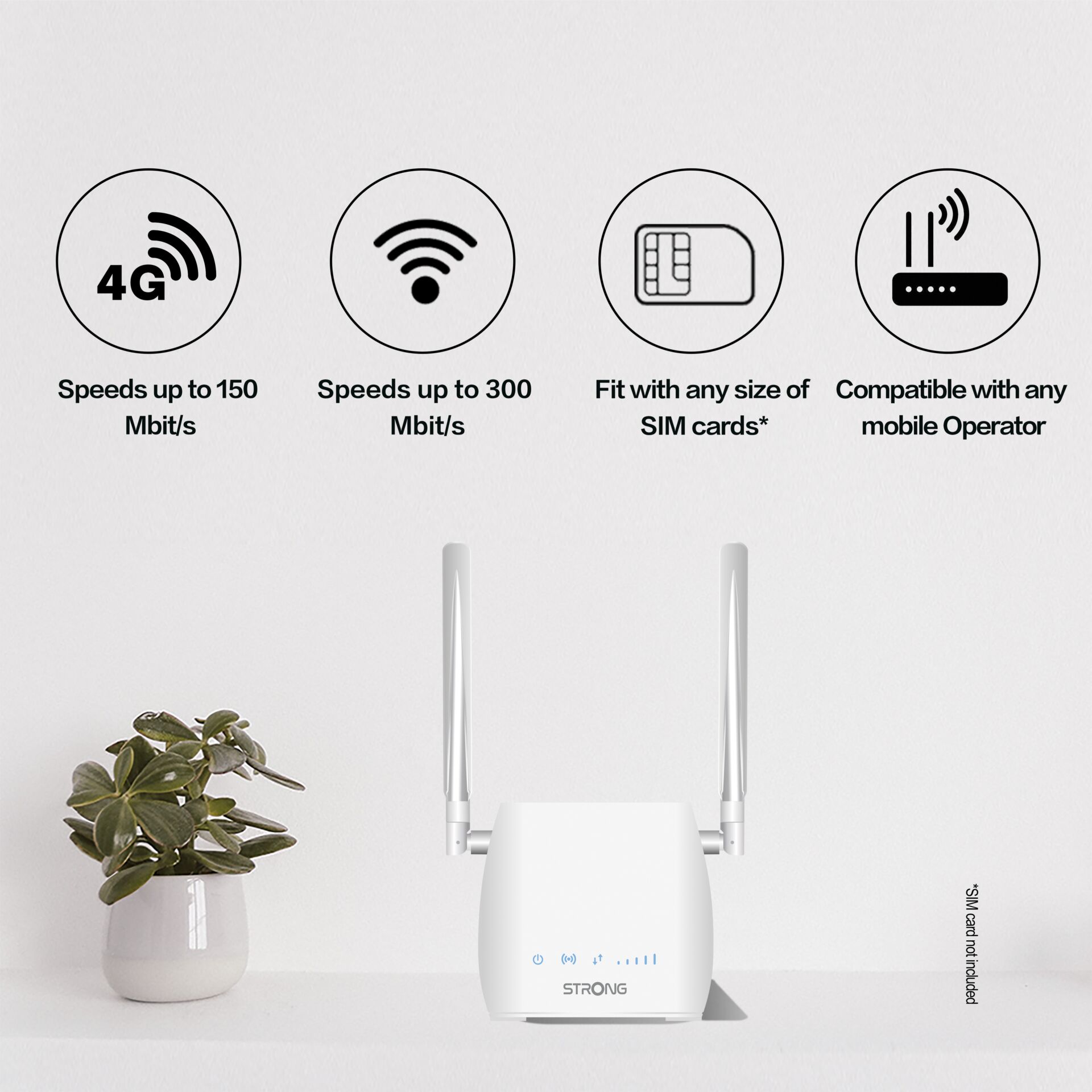 Pflanze, Pflanze im Topf, Hardware, Router, Töpferei