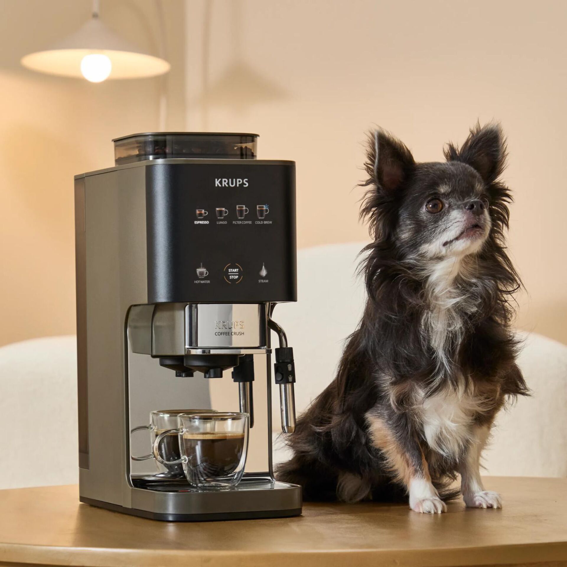 Kaffeemaschine, Kaffeezubereitung, Espresso, Tischgerät, Hund