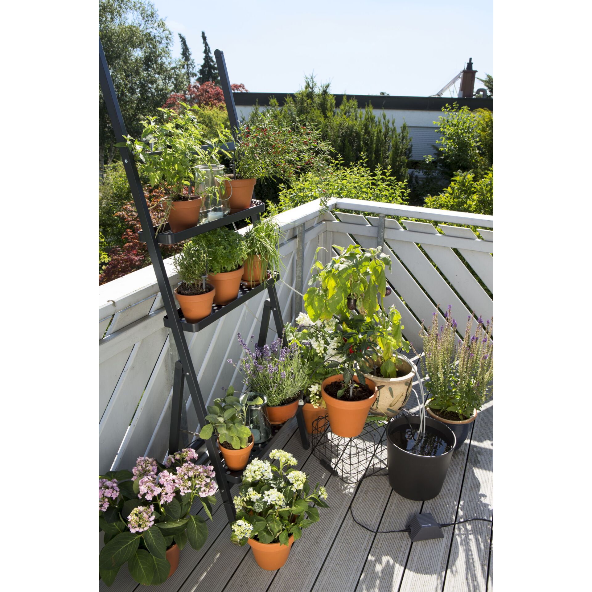 Balkon, Garten, Natur, Innenarchitektur, Pflanze