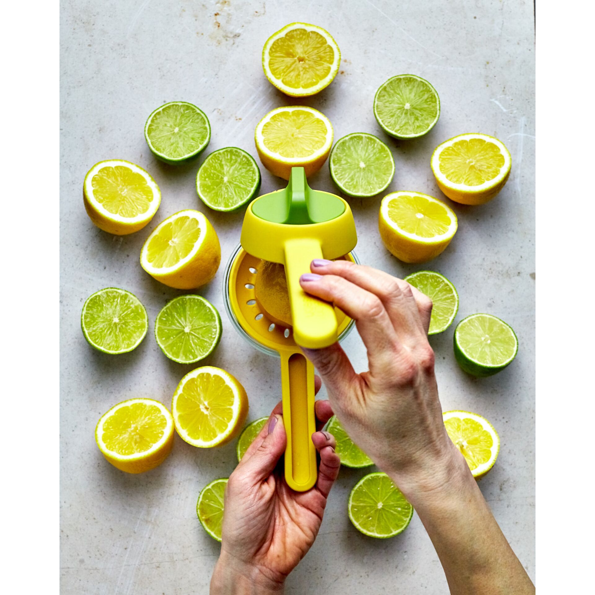 Zitrusfrucht, Obst, Pflanze, Produzieren, Person