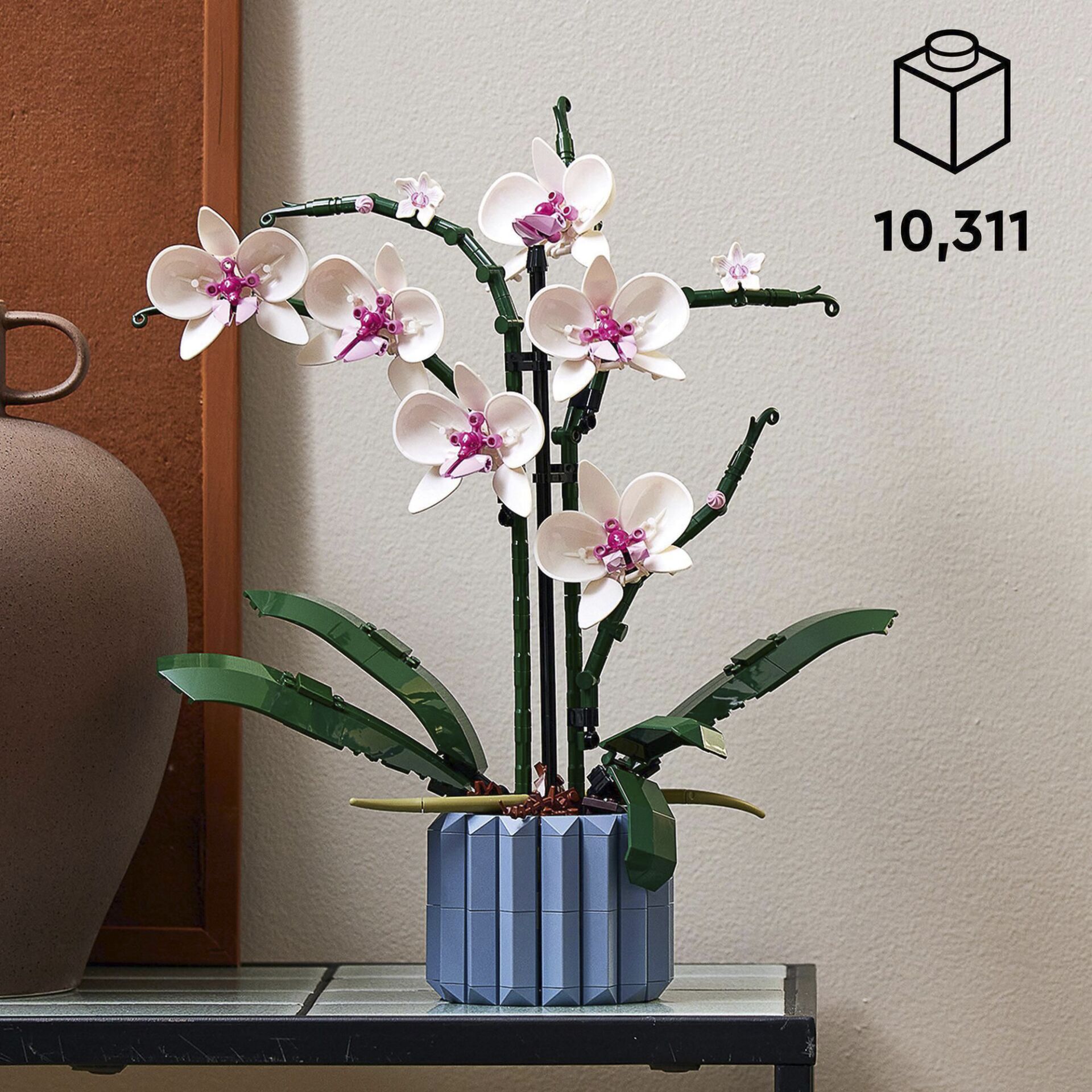 Blume, Blumen-Arrangement, Pflanze, Ikebana